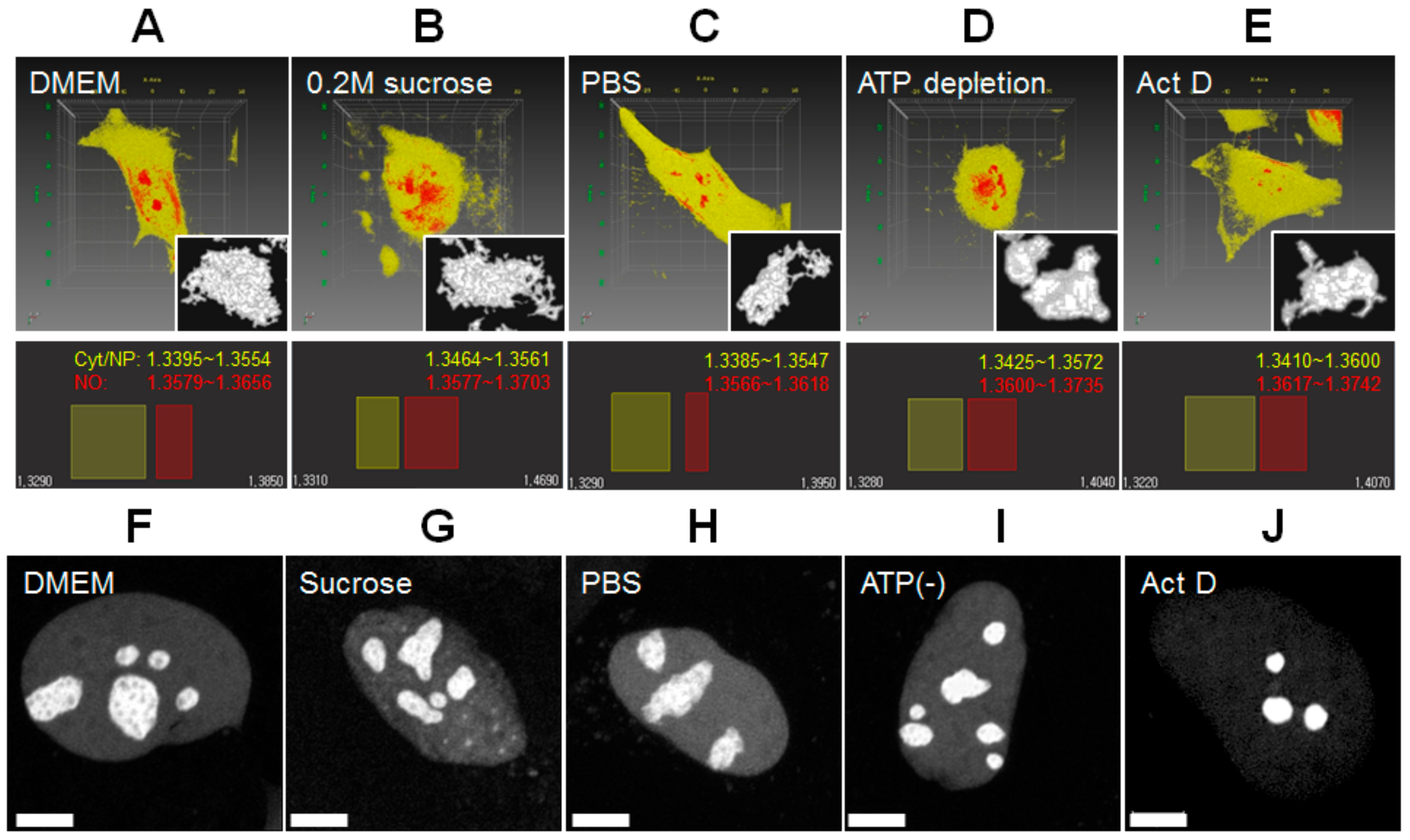 Cells 08 00699 g002