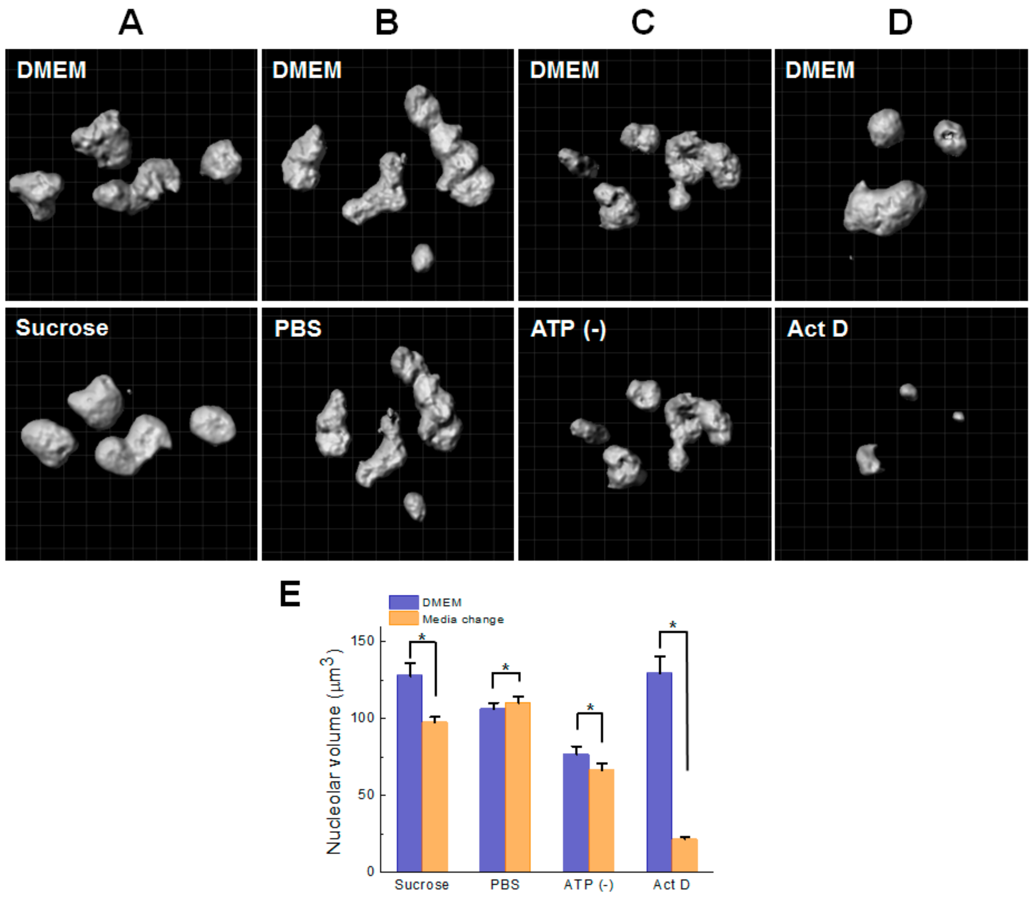 Cells 08 00699 g003
