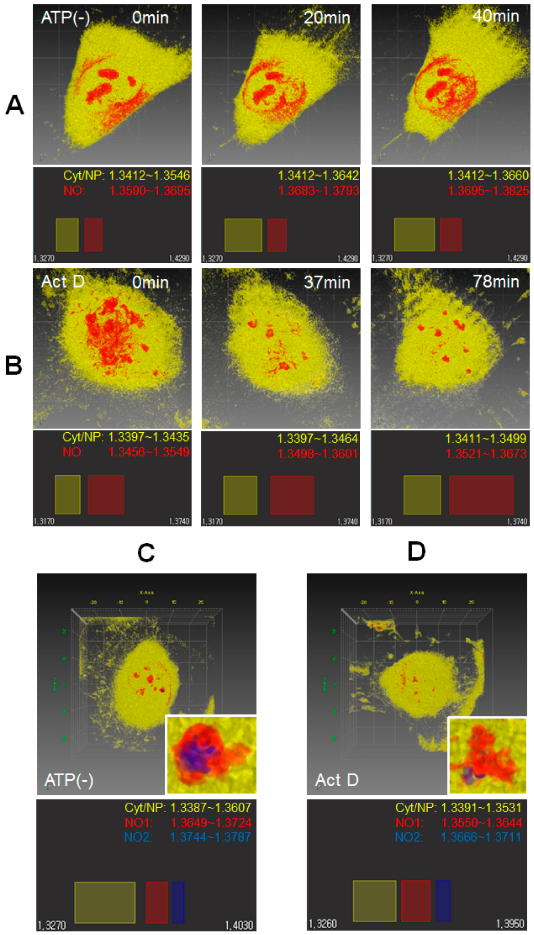 Cells 08 00699 g005