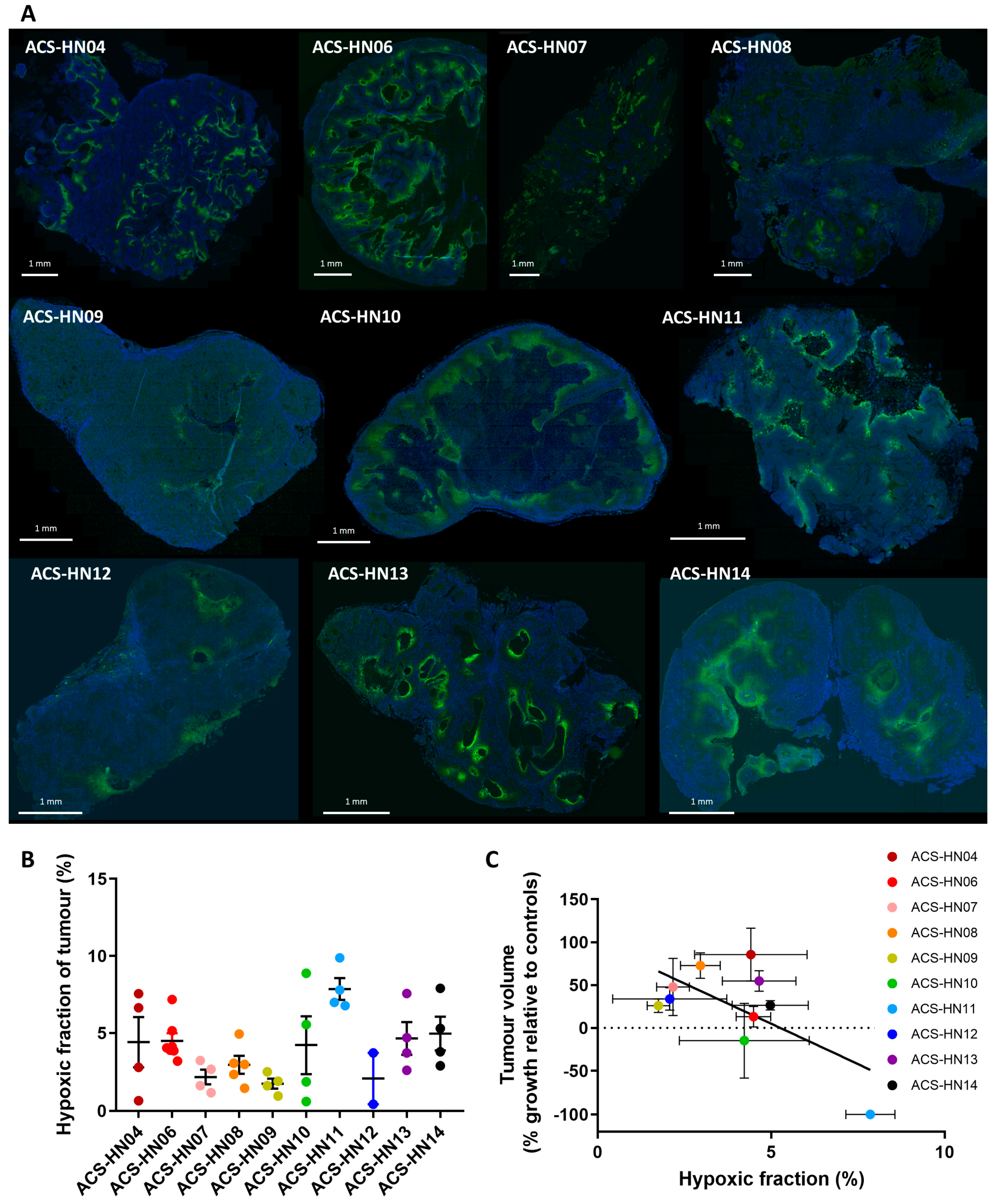Cells 08 00717 g003
