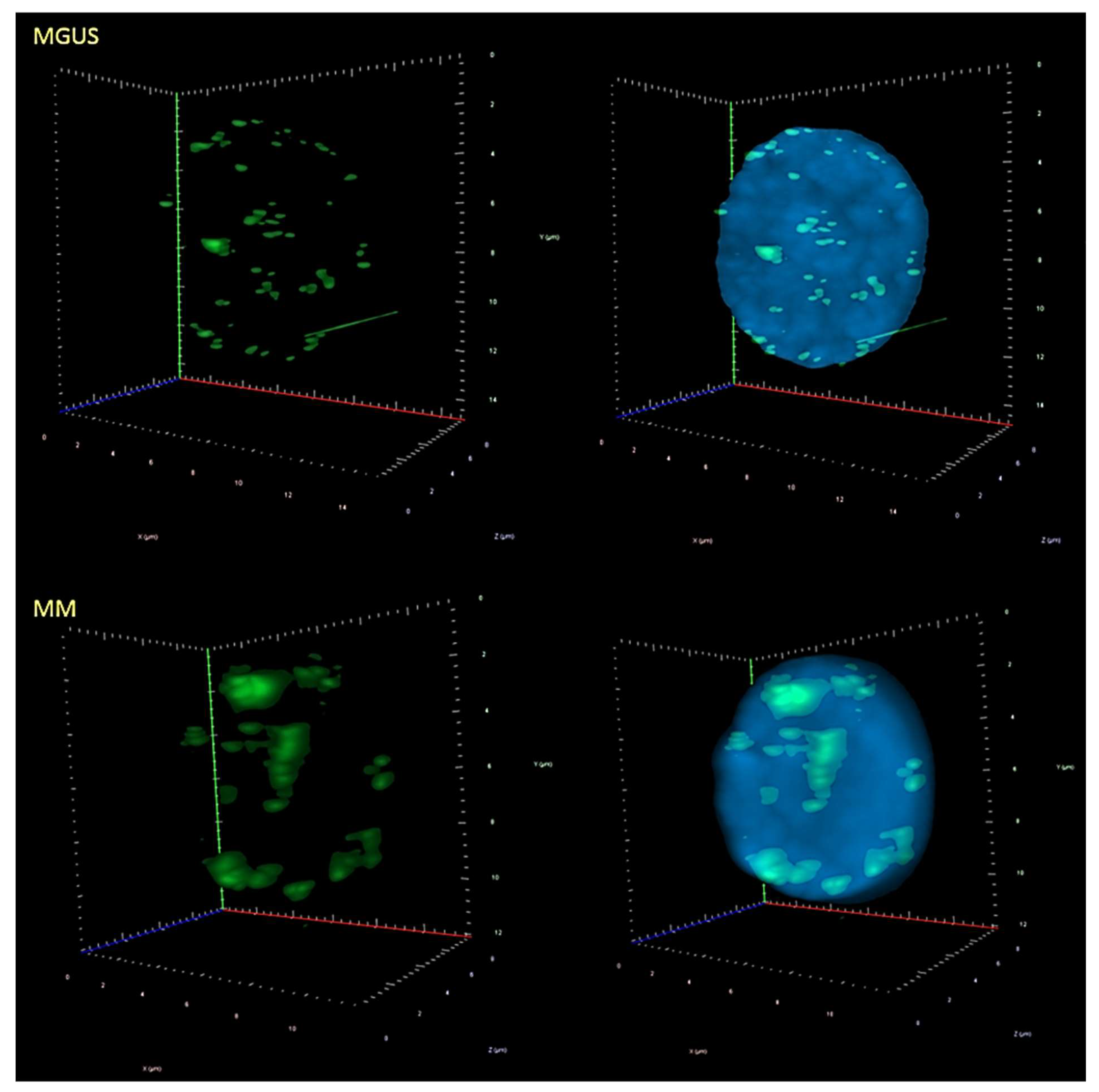 Cells 08 00723 g004