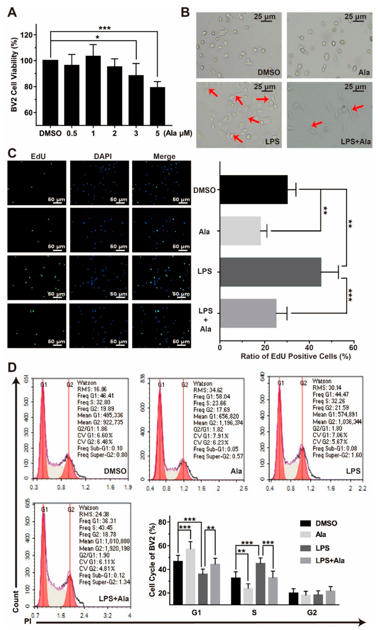 Cells 08 00739 g001 Cells 08 00739 g001