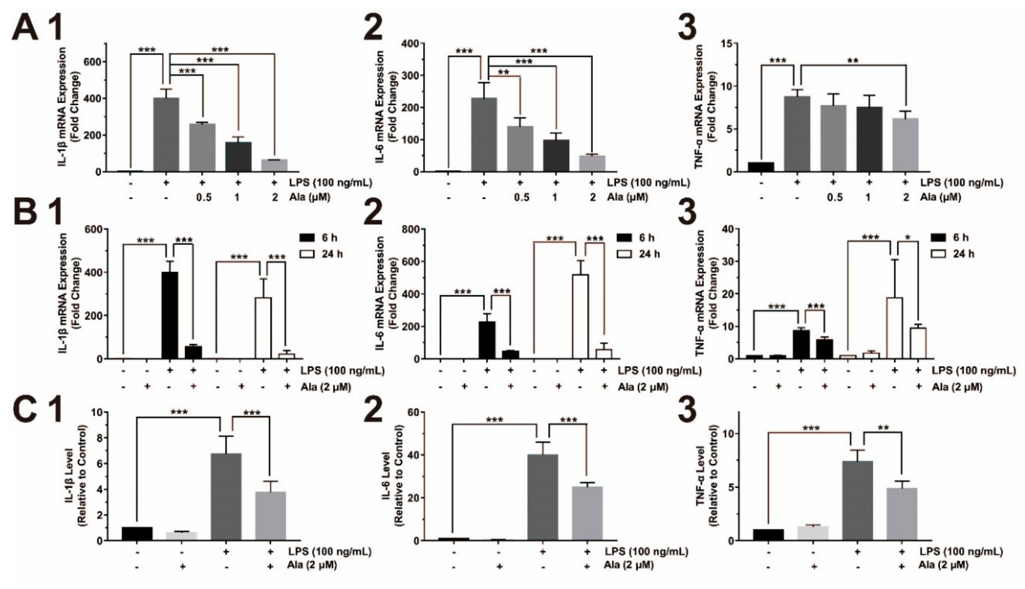 Cells 08 00739 g002 Cells 08 00739 g002