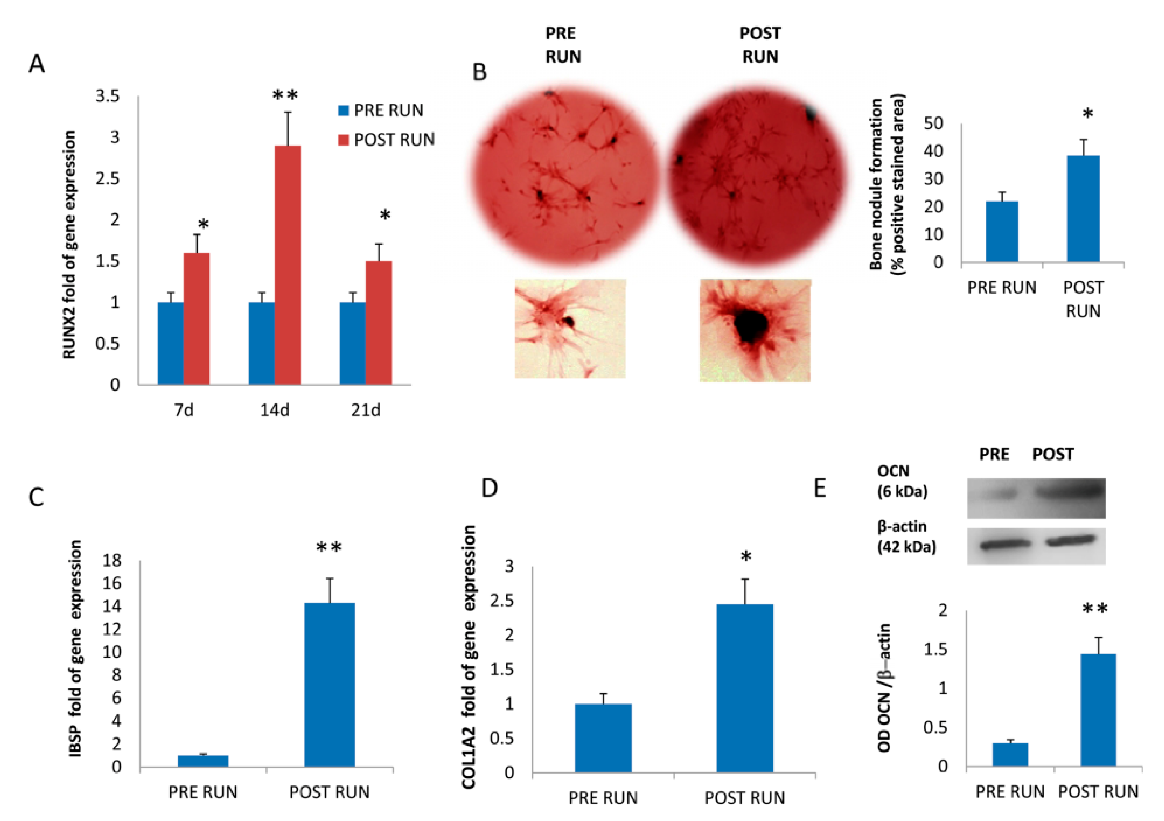 Cells 08 00742 g002 Cells 08 00742 g002