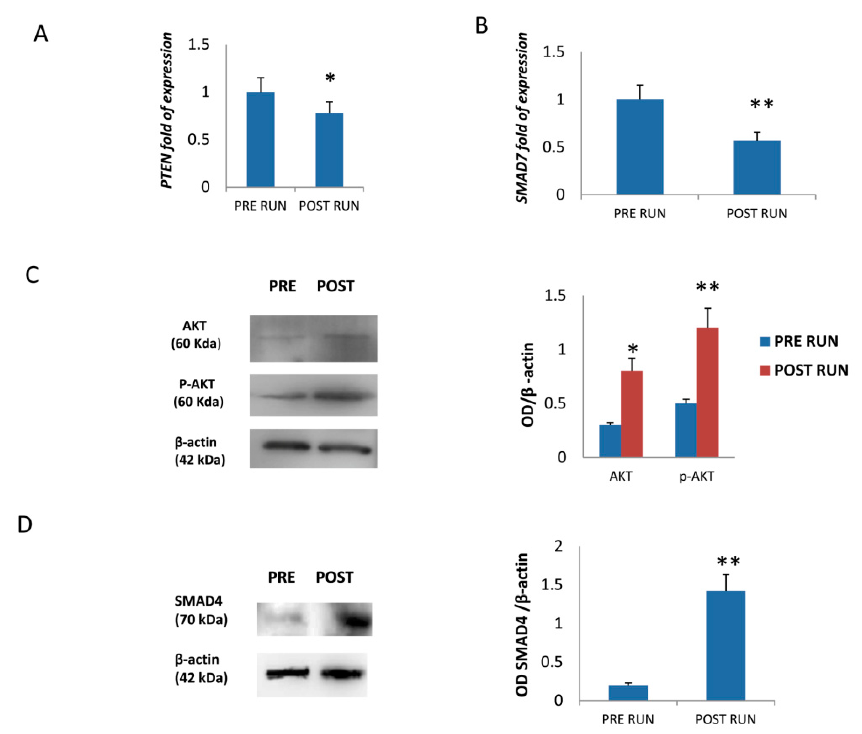 Cells 08 00742 g004 Cells 08 00742 g004