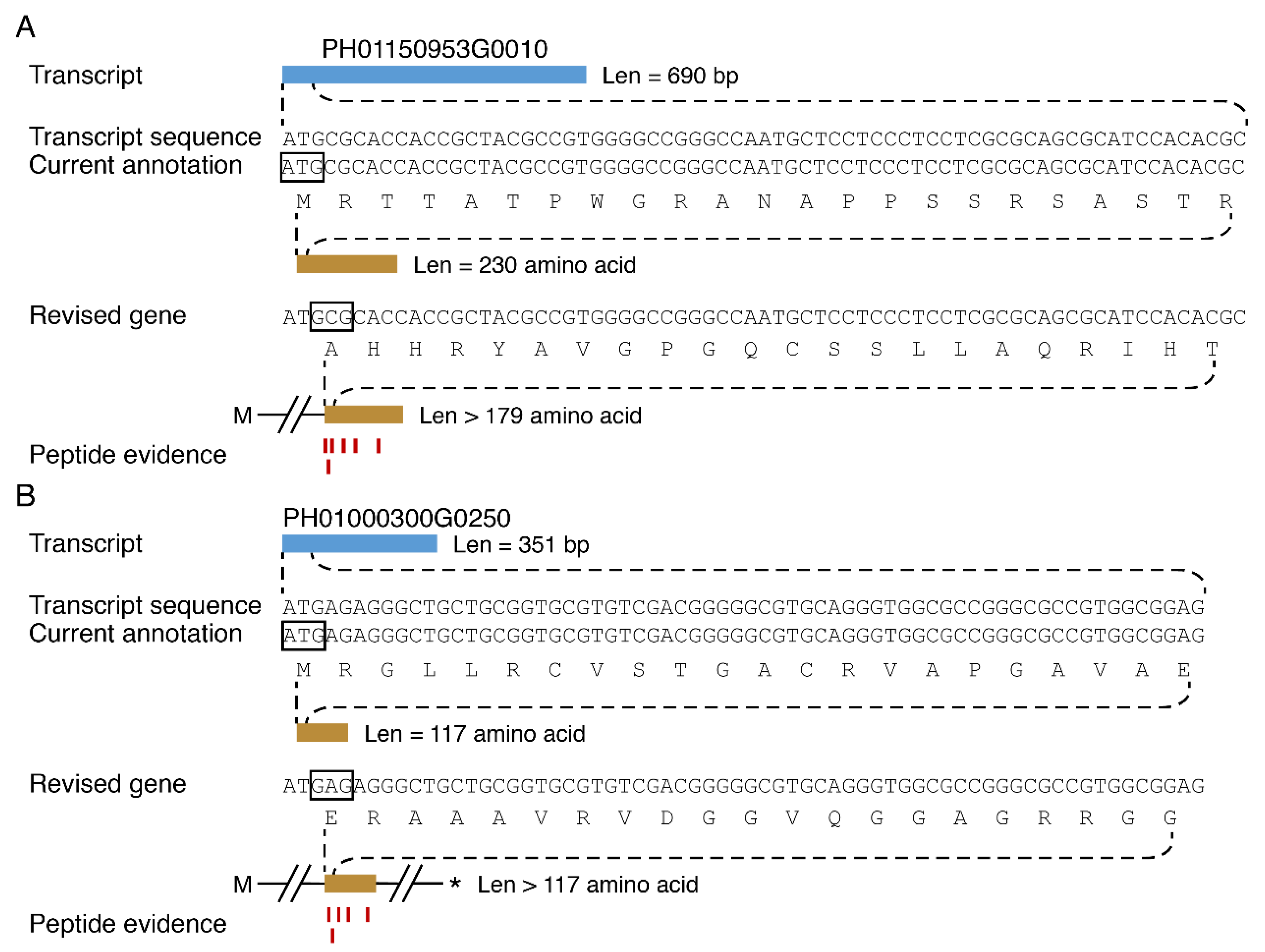 Cells 08 00744 g004