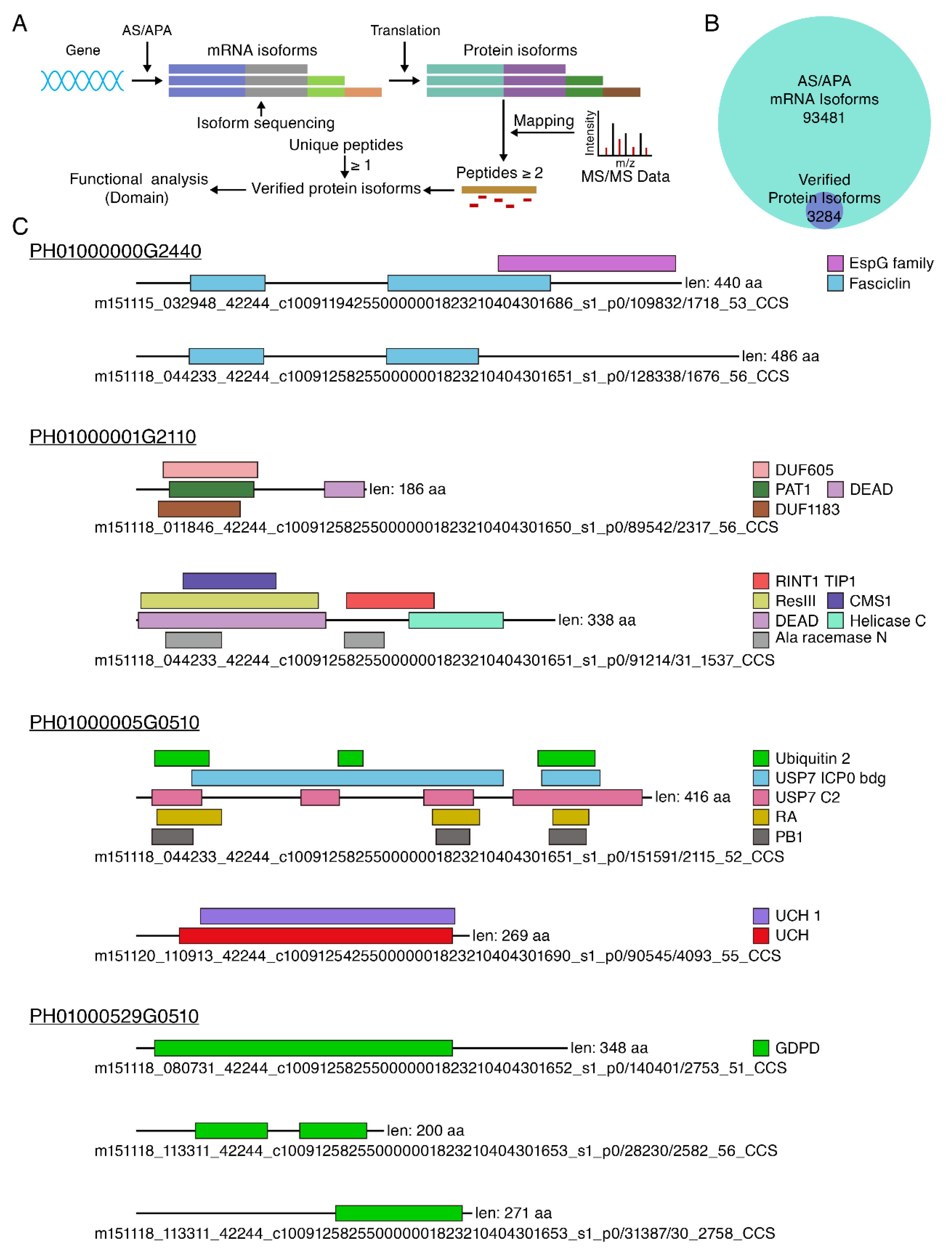 Cells 08 00744 g006