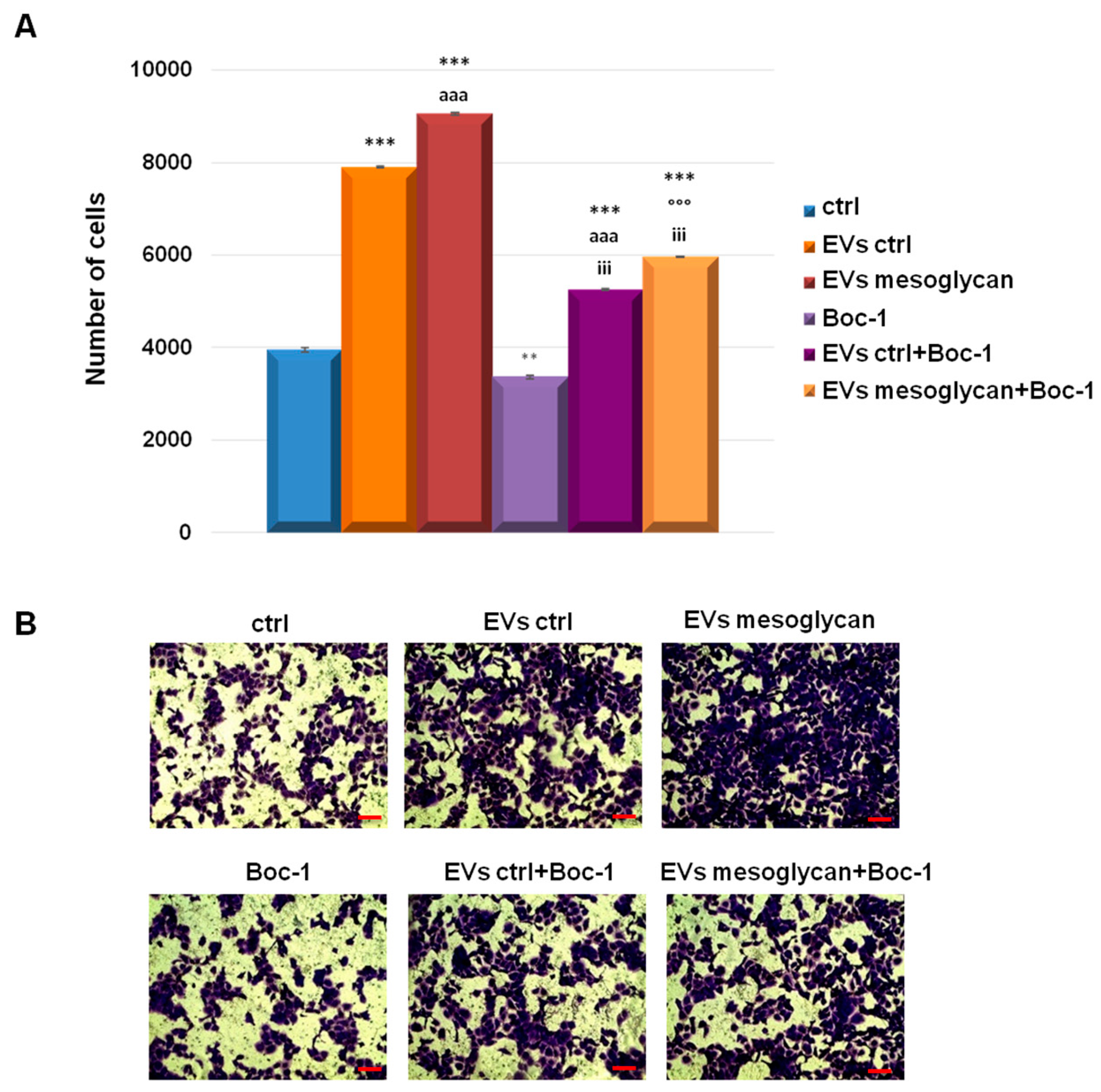 Cells 08 00753 g006 Cells 08 00753 g006