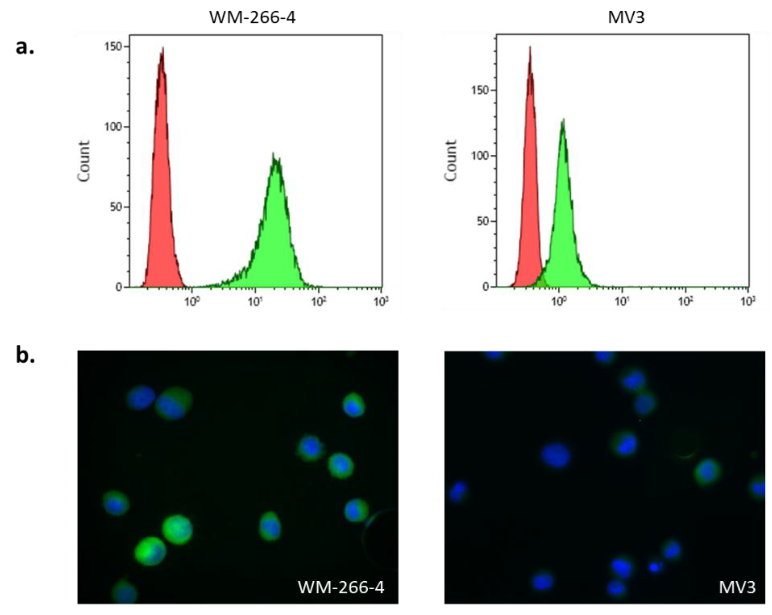 Cells 08 00755 g001