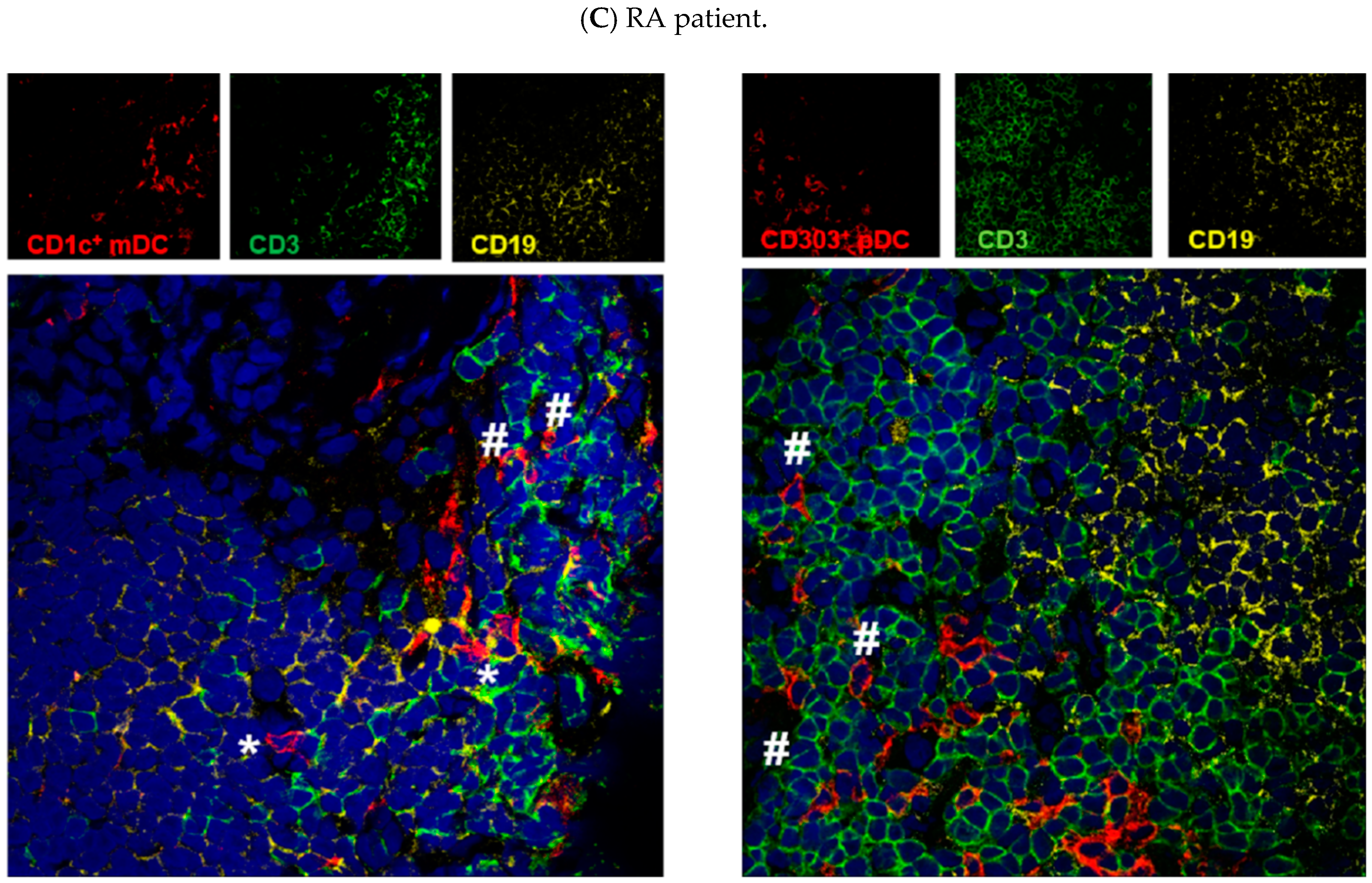 Cells 08 00756 g003b