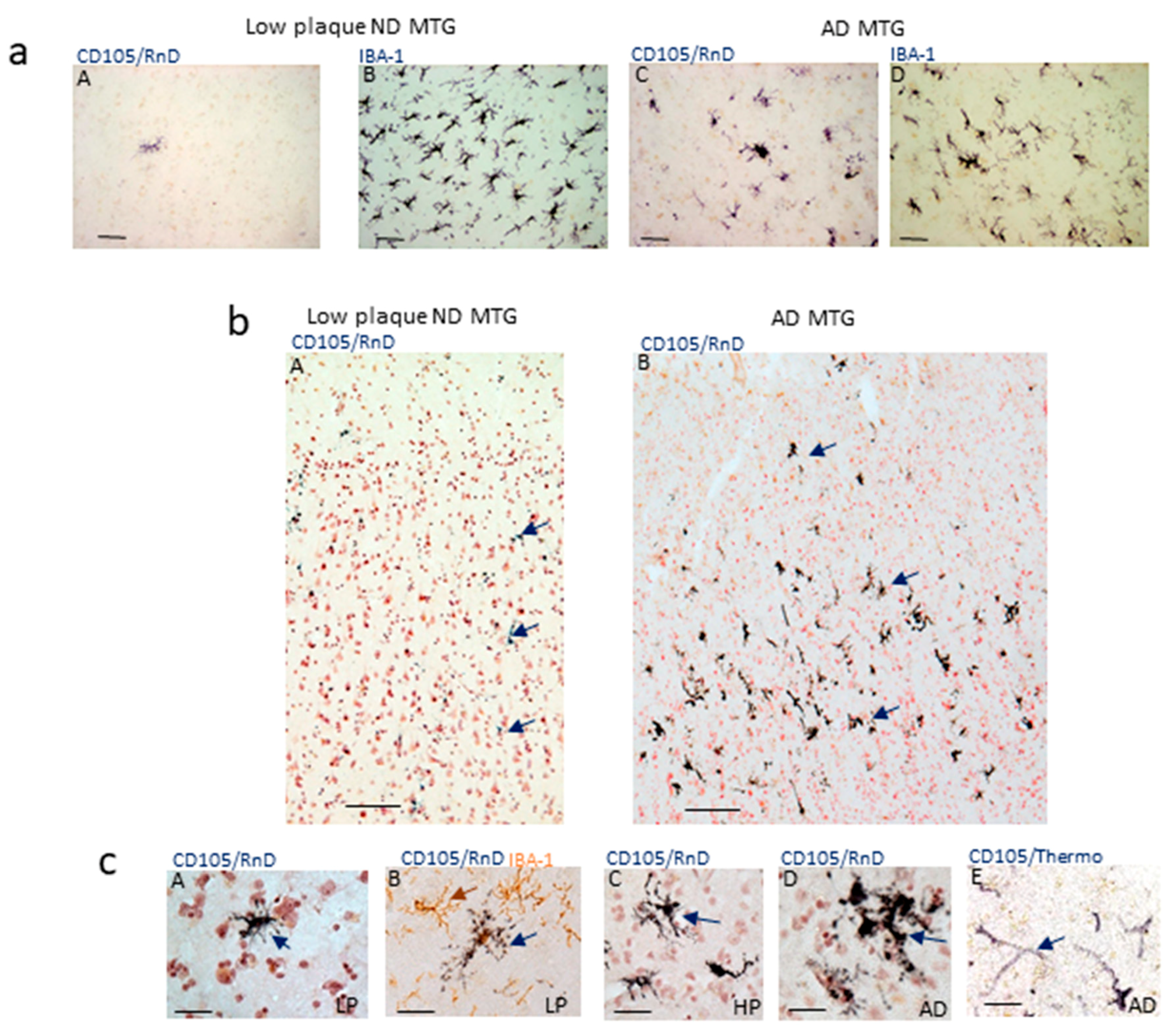 Cells 08 00766 g001 Cells 08 00766 g001