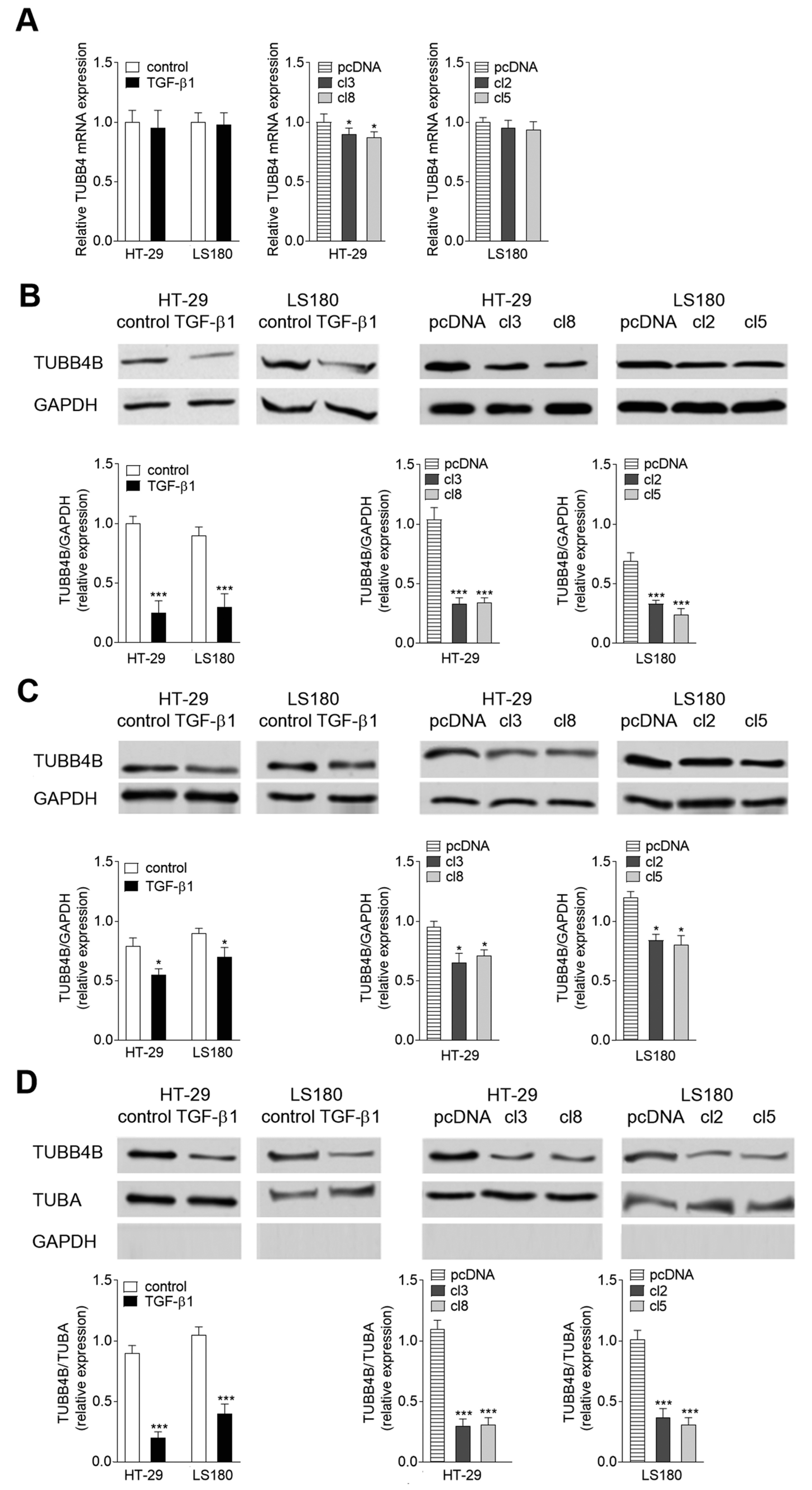 Cells 08 00810 g001
