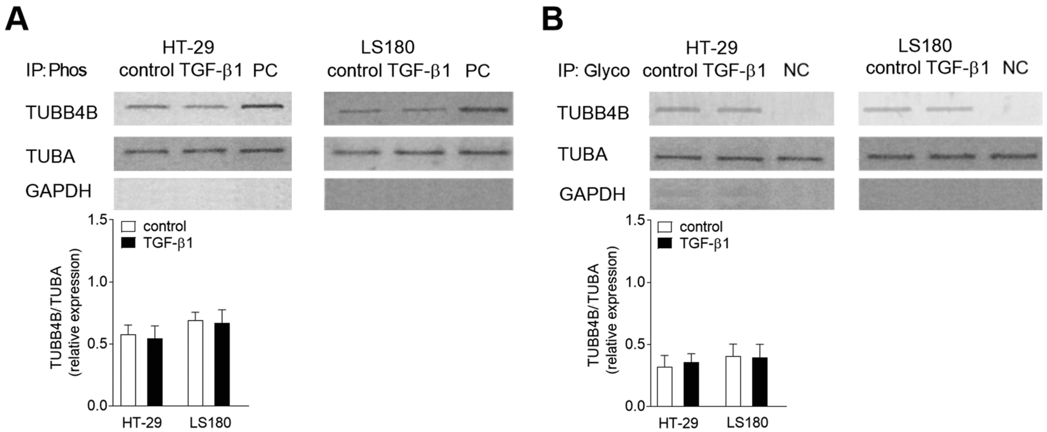 Cells 08 00810 g002