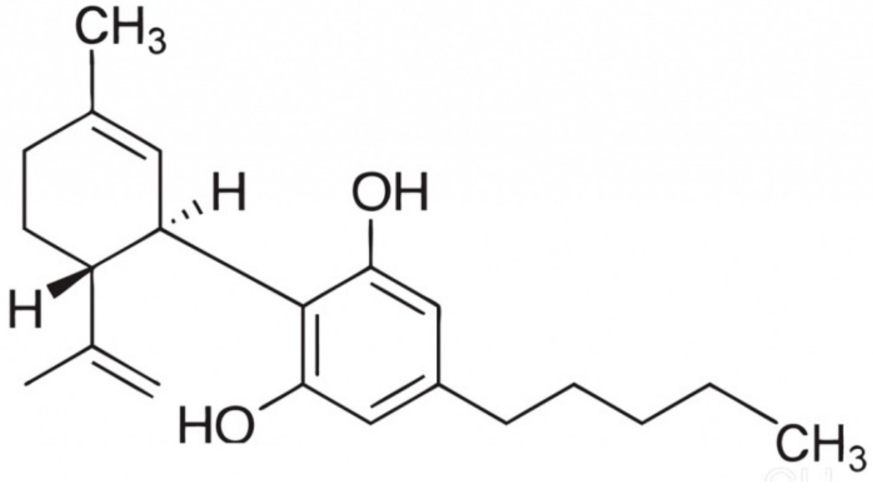 Cells 08 00827 g001