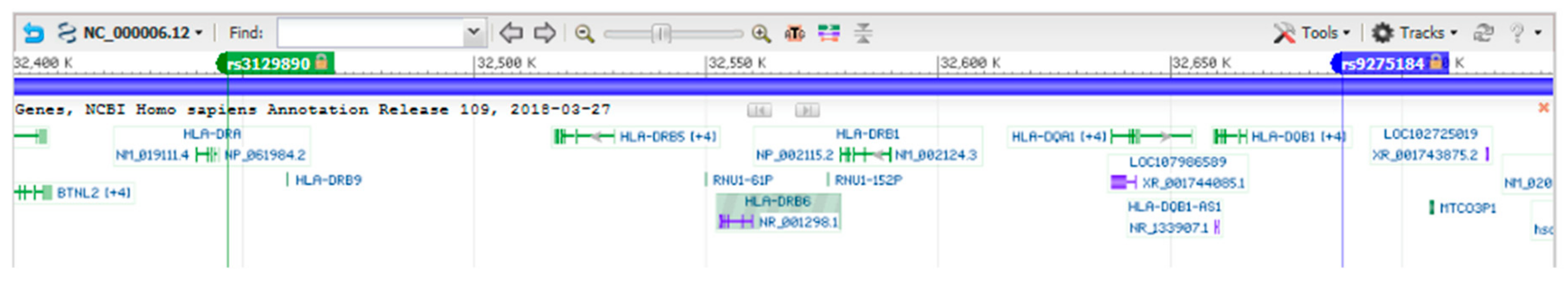 Cells 08 00835 g001