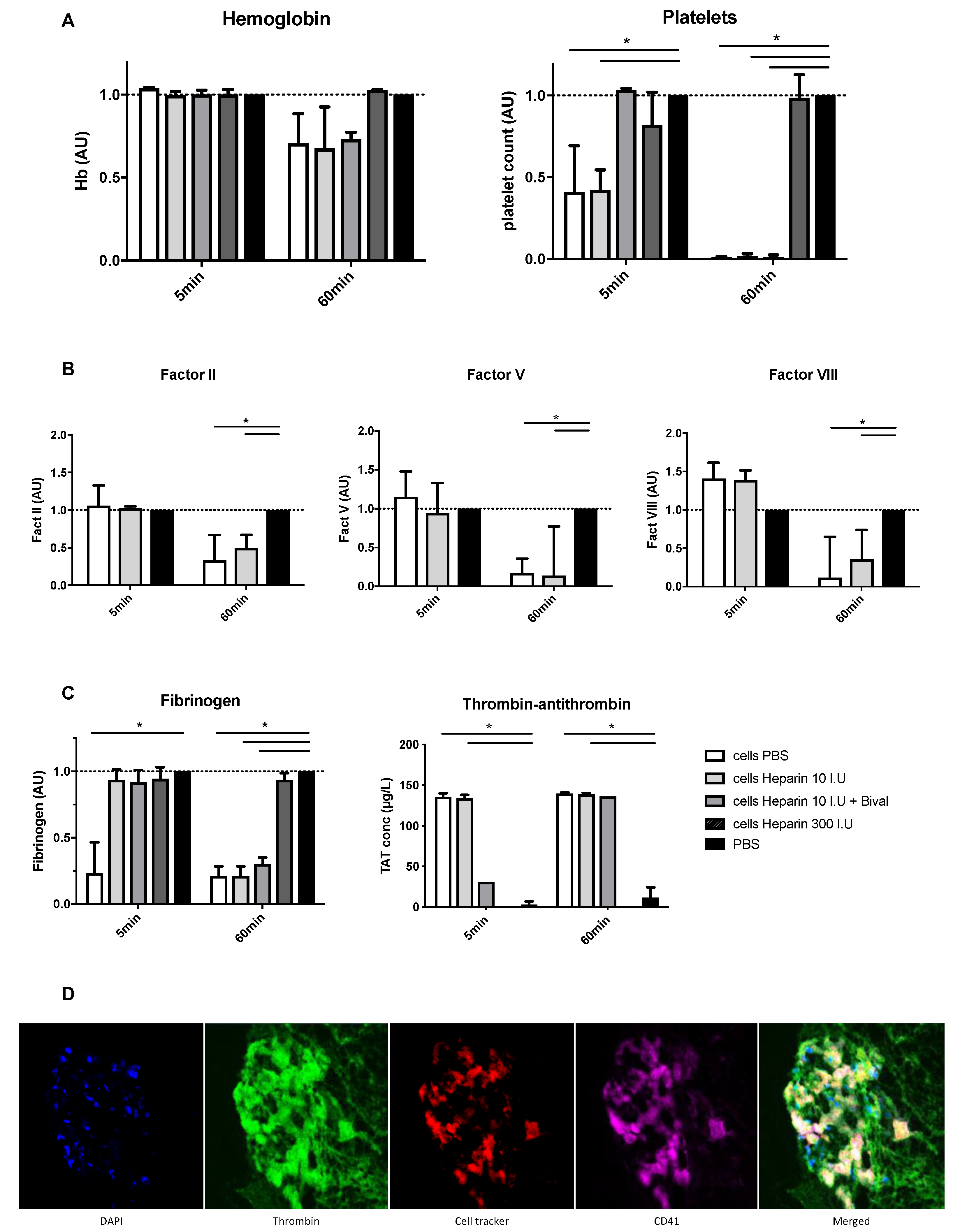 Cells 08 00846 g001