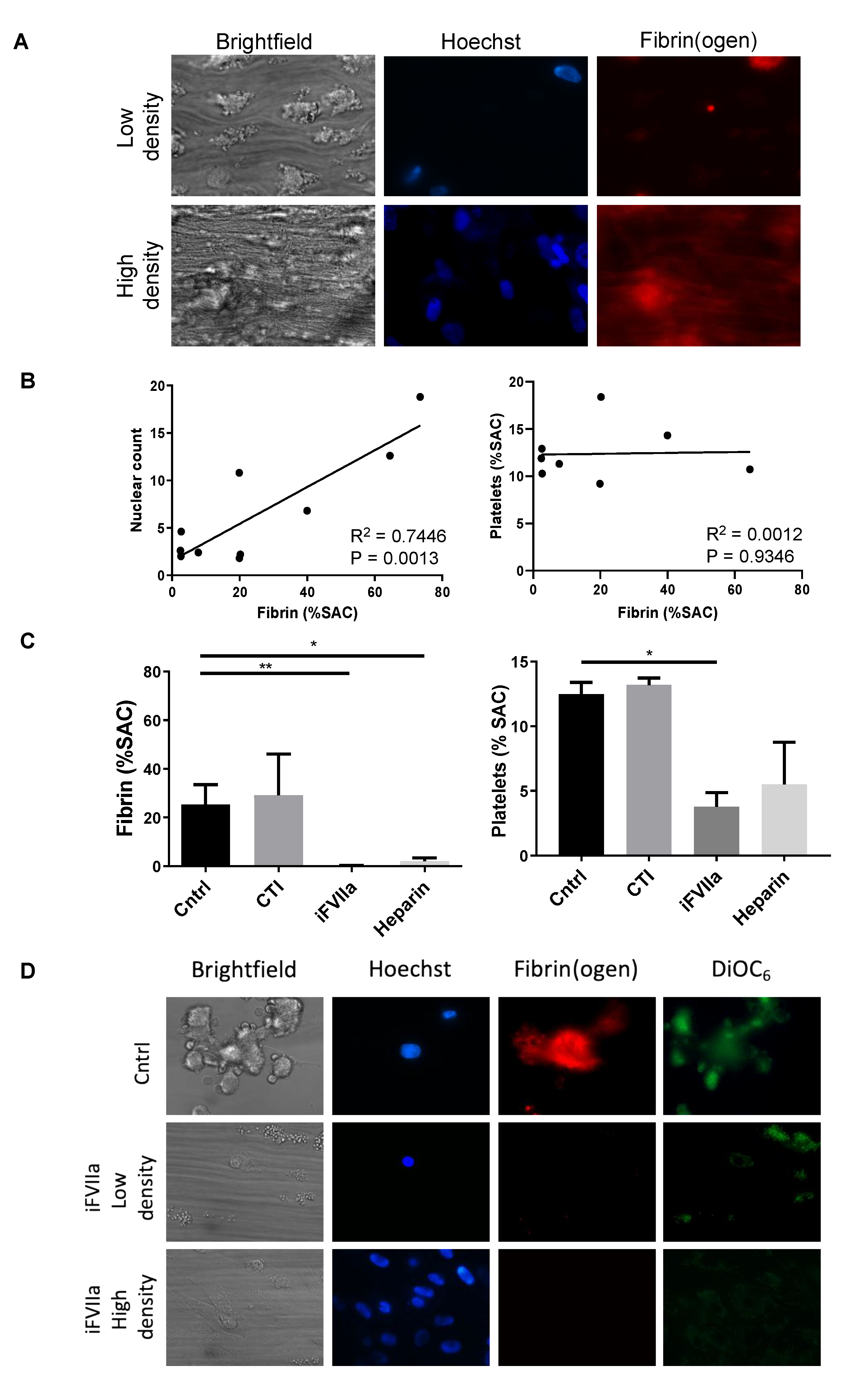 Cells 08 00846 g002