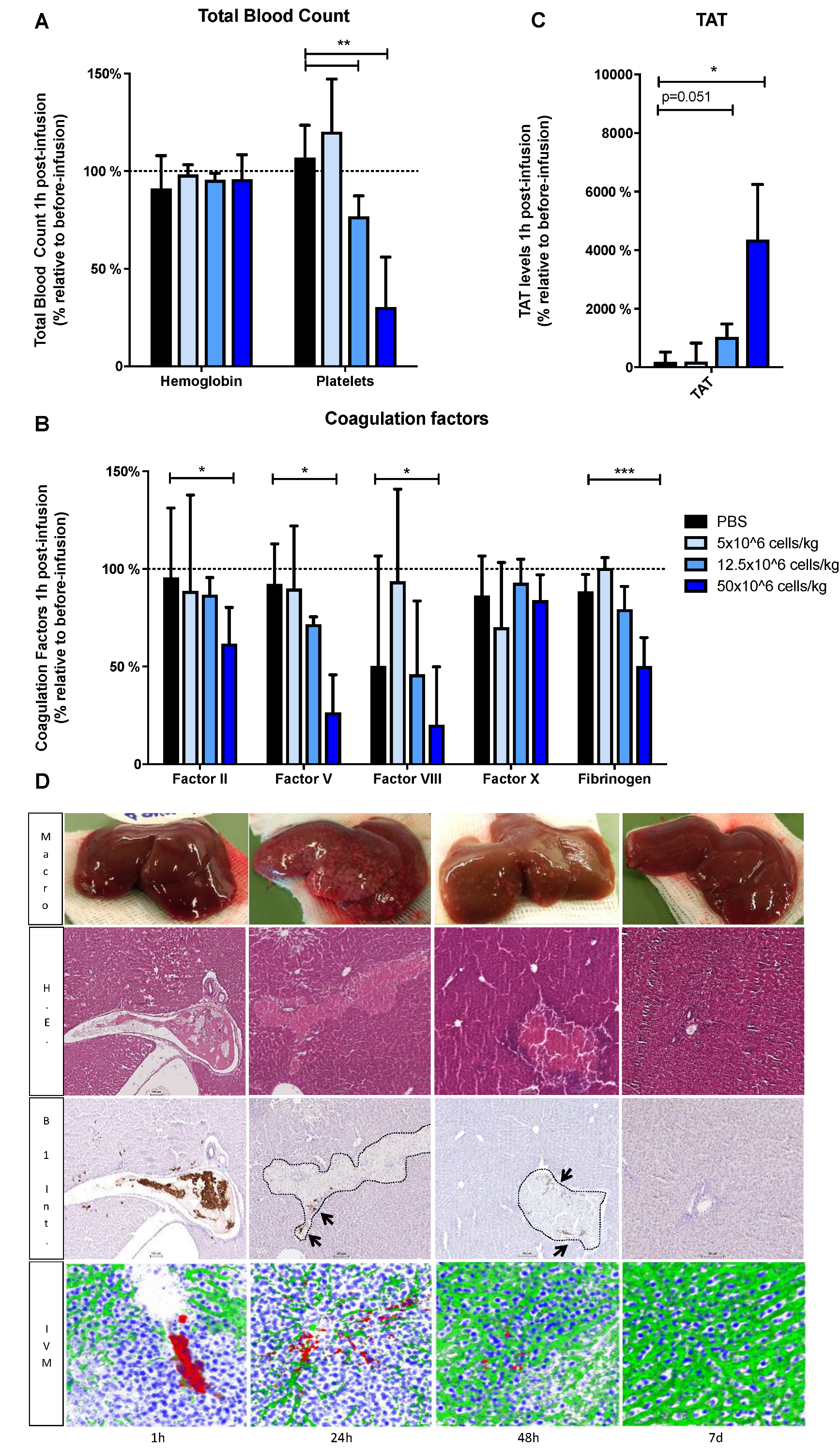 Cells 08 00846 g004
