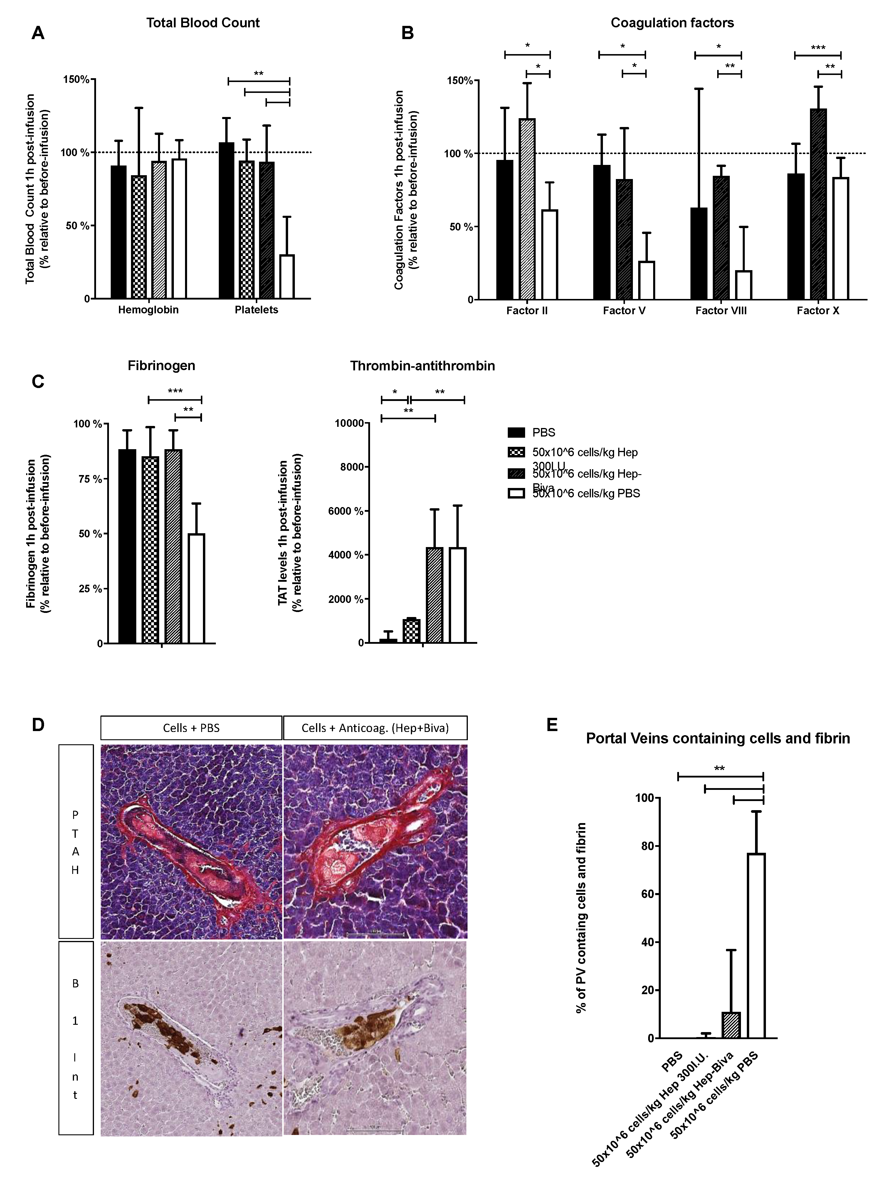 Cells 08 00846 g005
