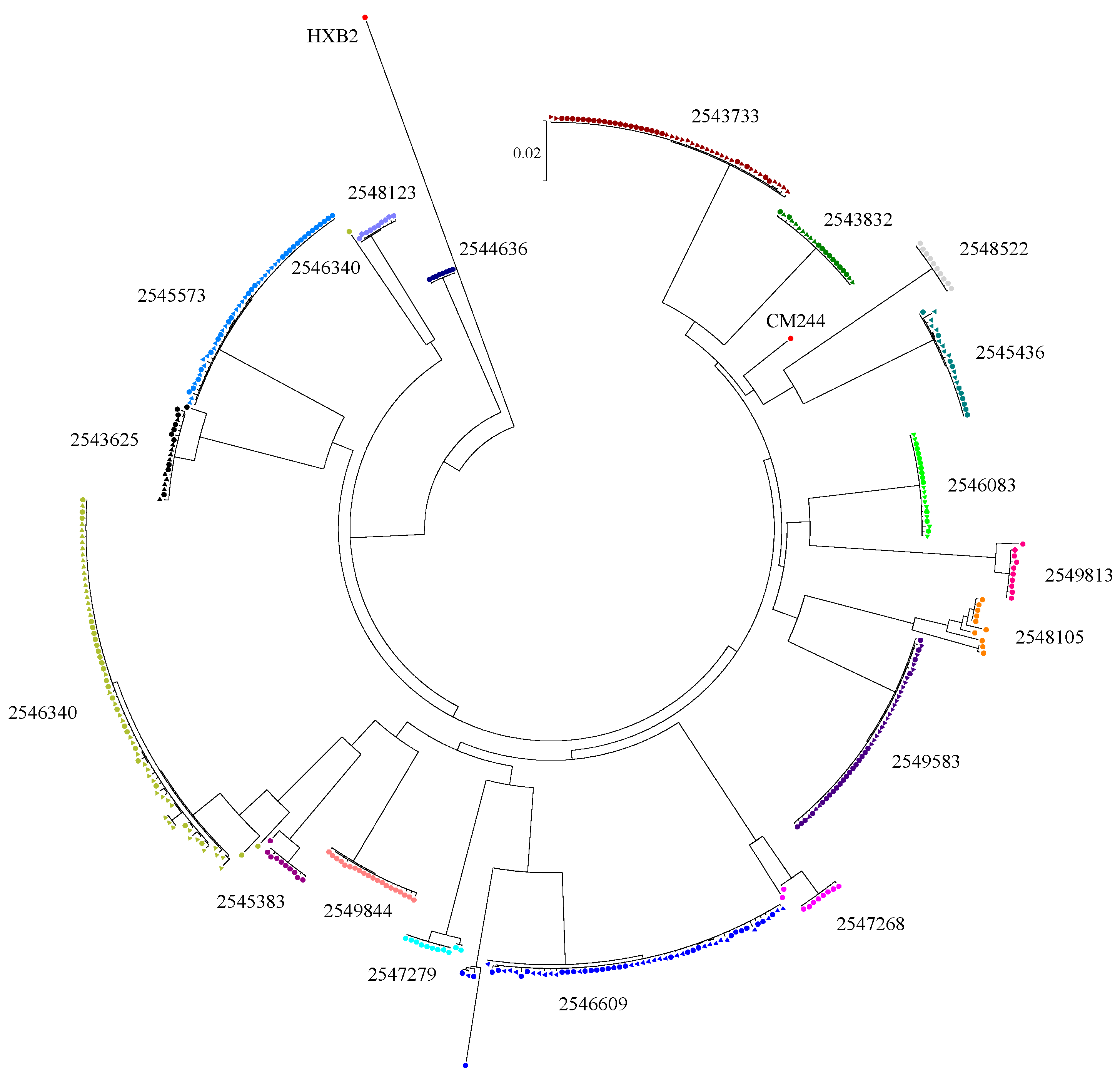 Cells 08 00902 g001