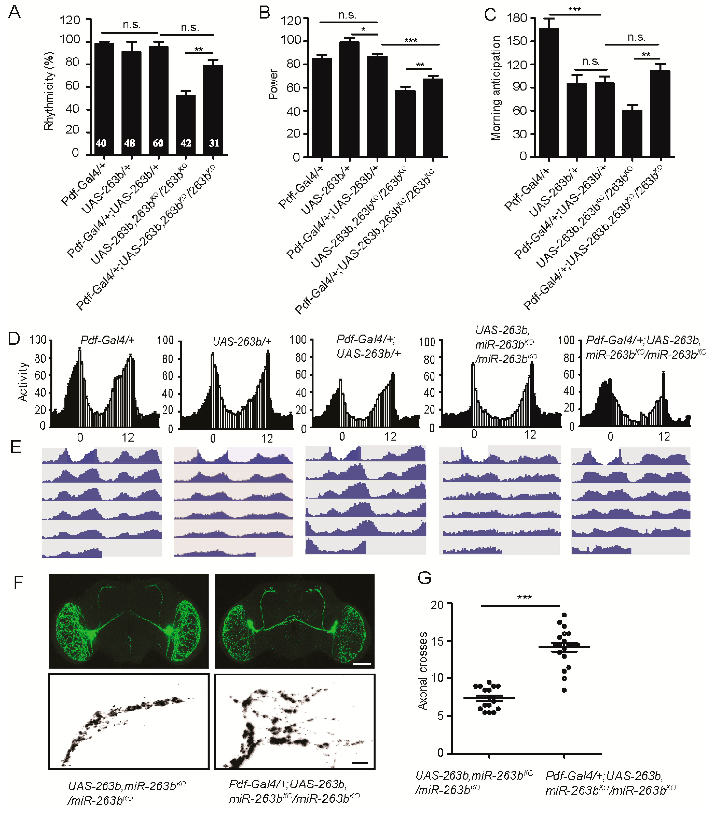 Cells 08 00923 g004