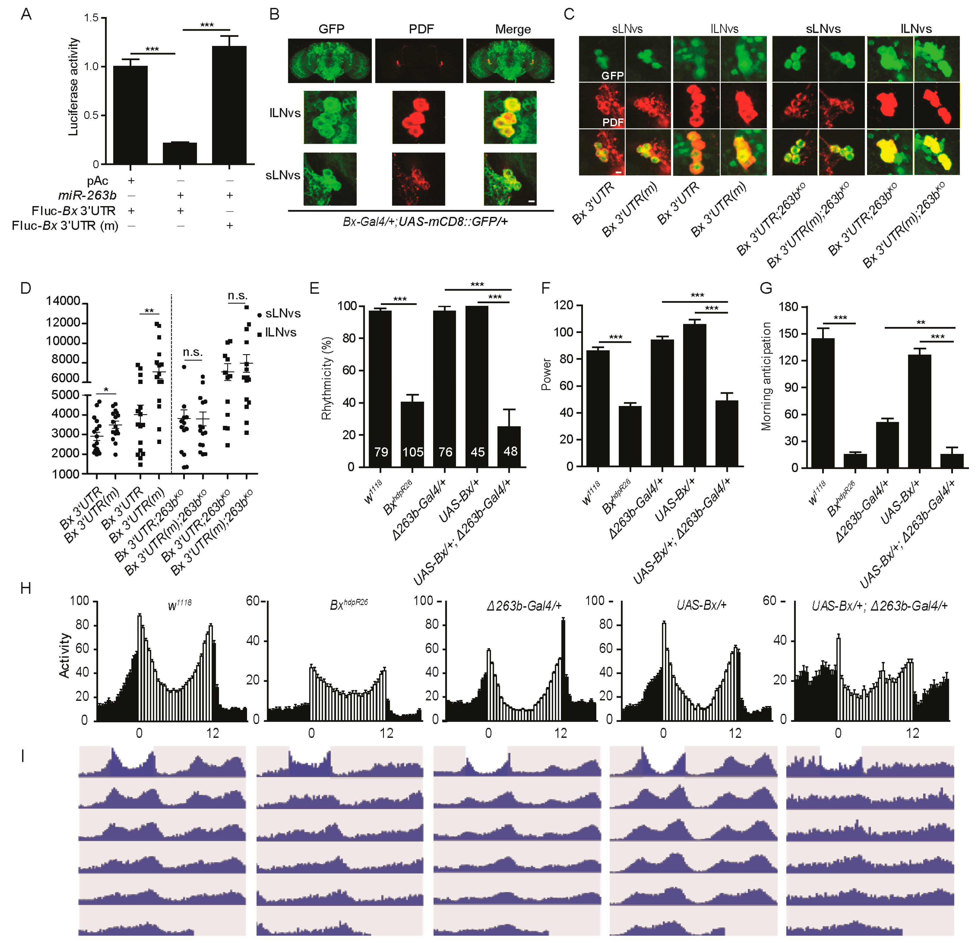 Cells 08 00923 g005