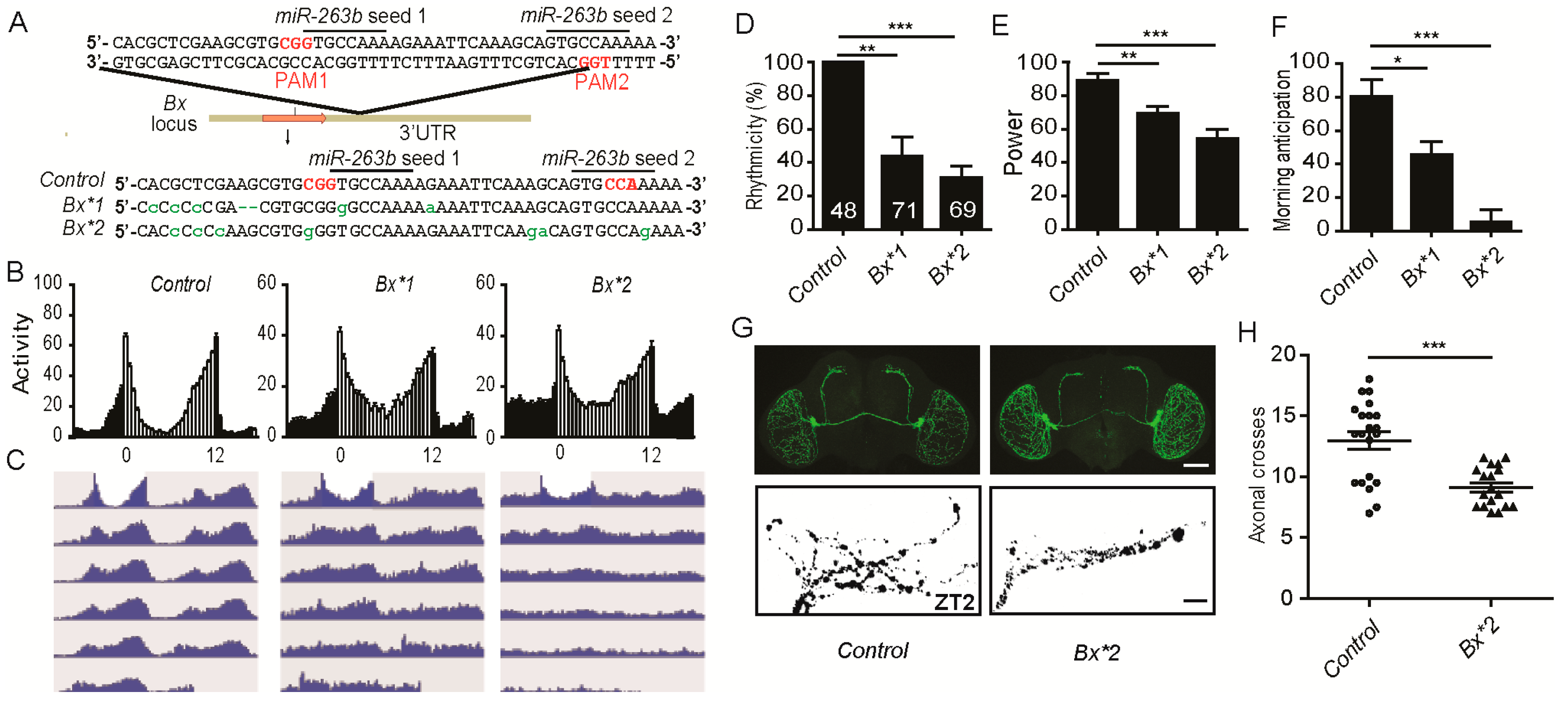 Cells 08 00923 g007