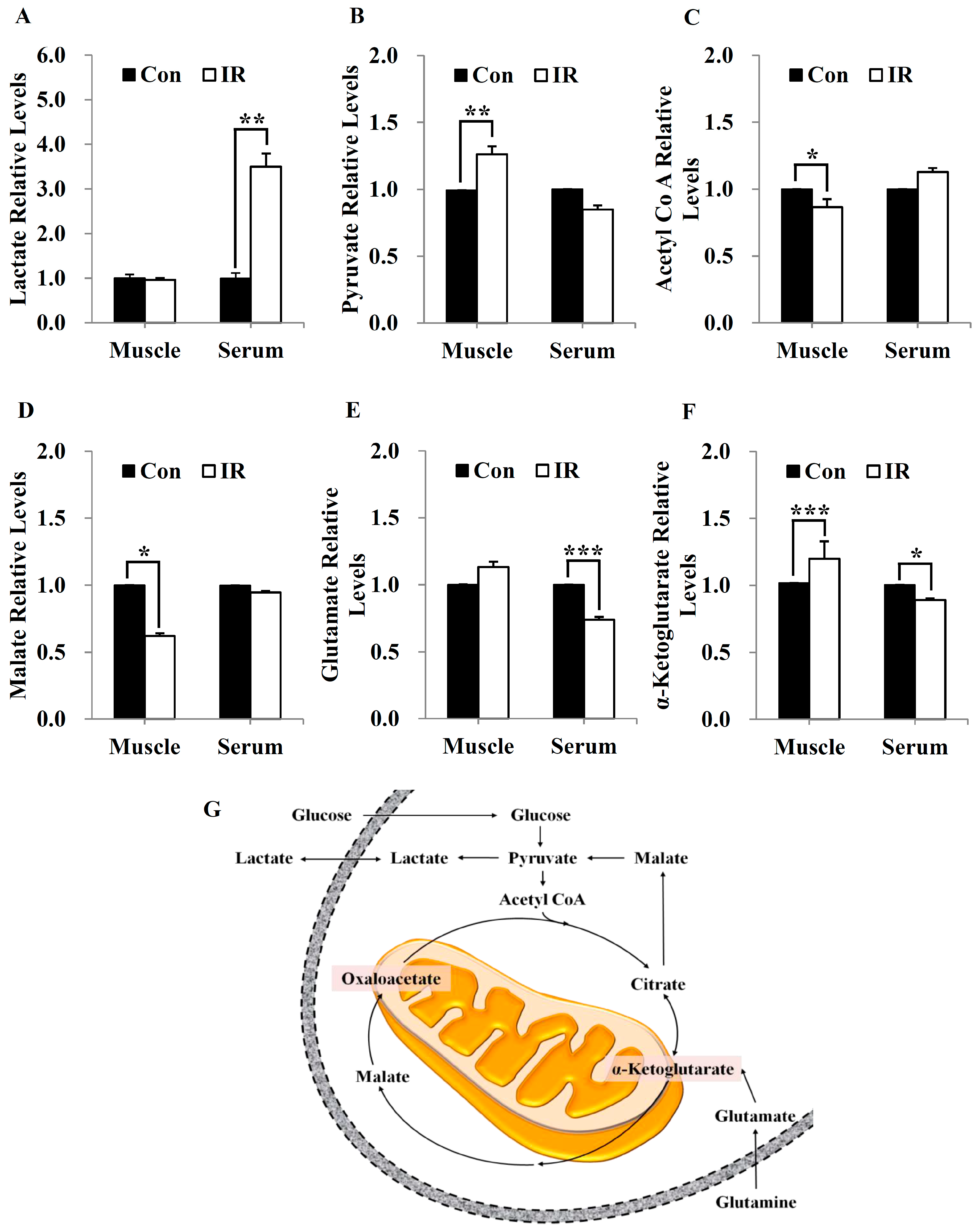 Cells 08 00950 g001 Cells 08 00950 g001