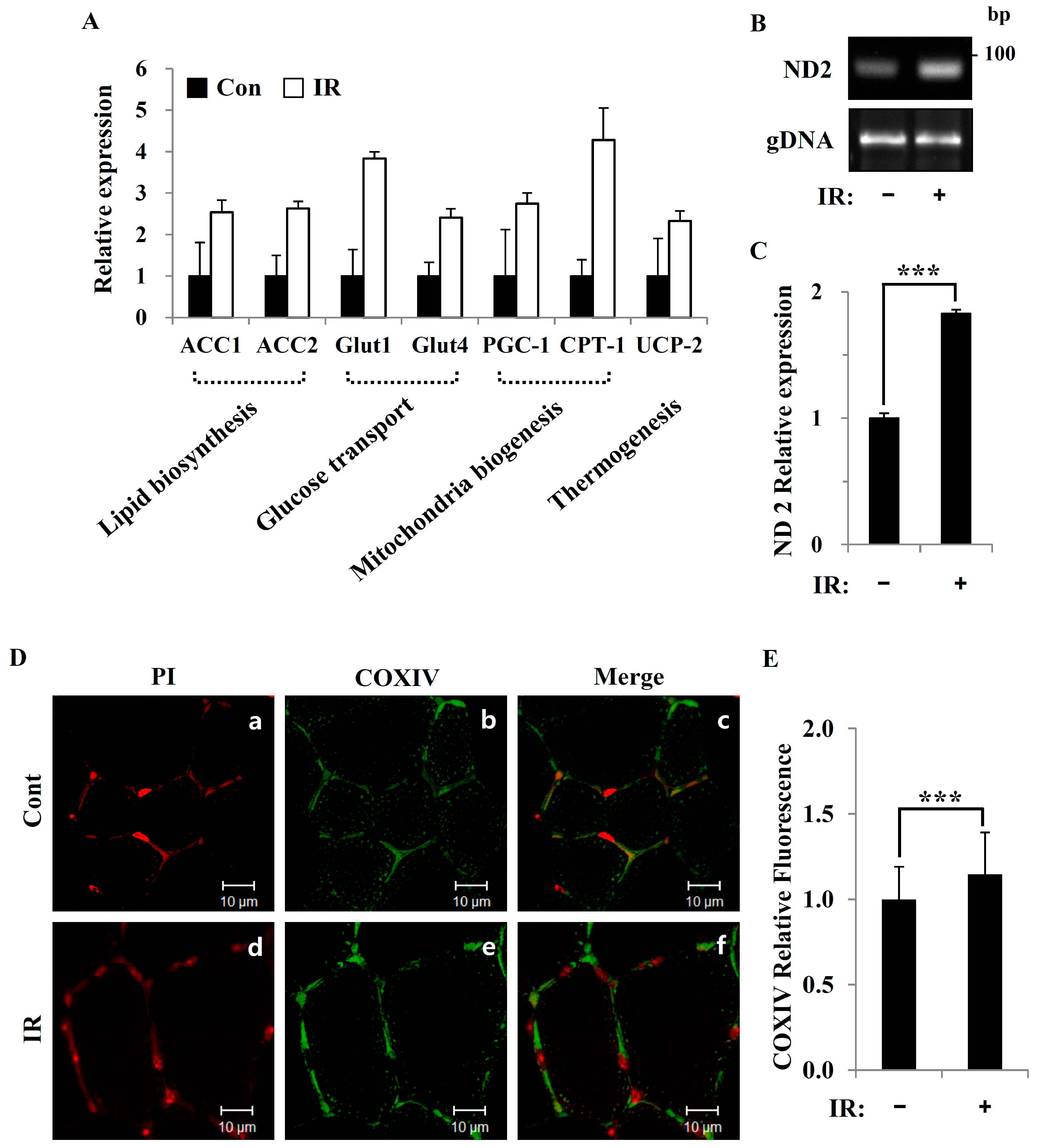 Cells 08 00950 g002 Cells 08 00950 g002