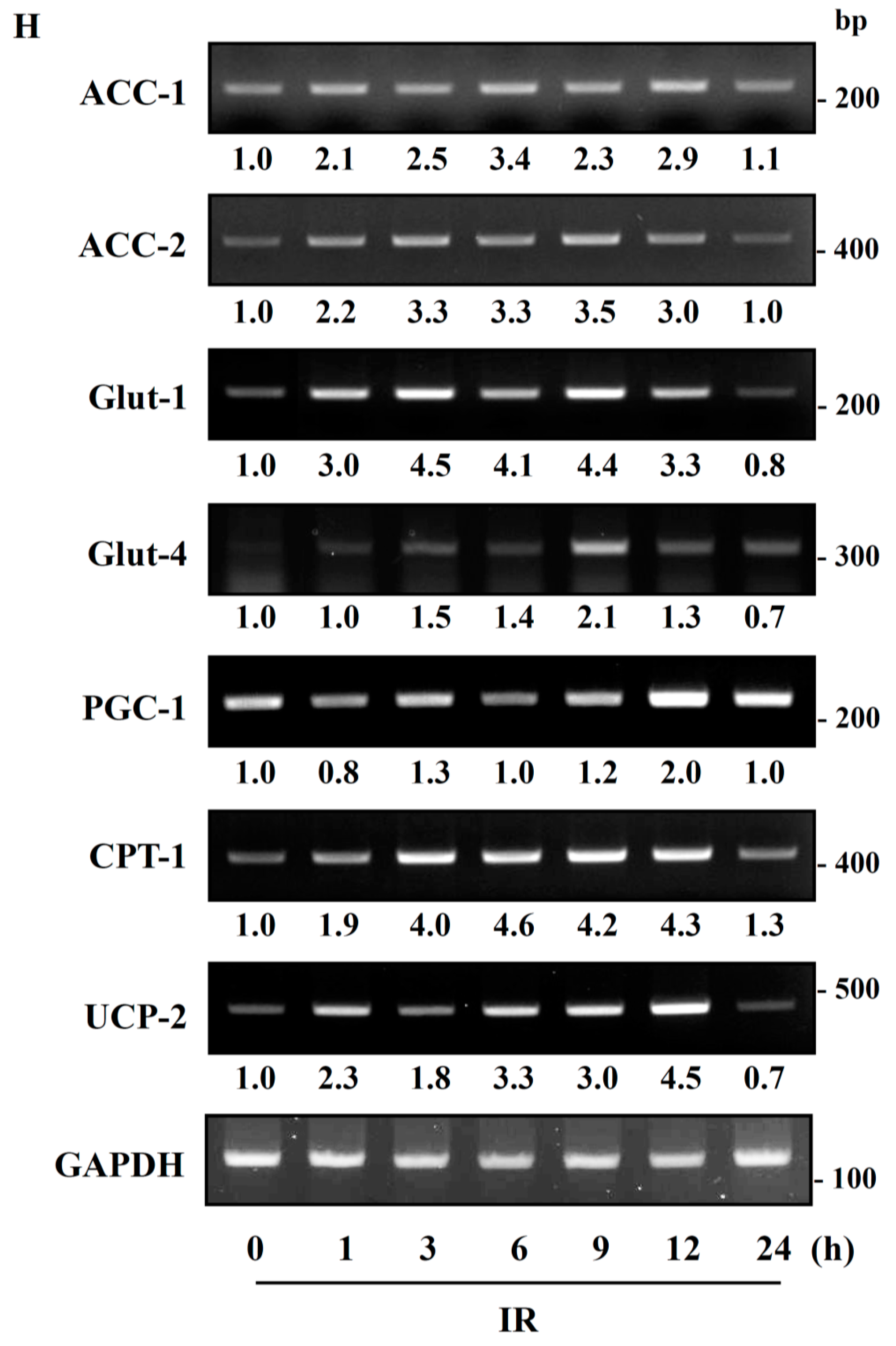 Cells 08 00950 g003b Cells 08 00950 g003b