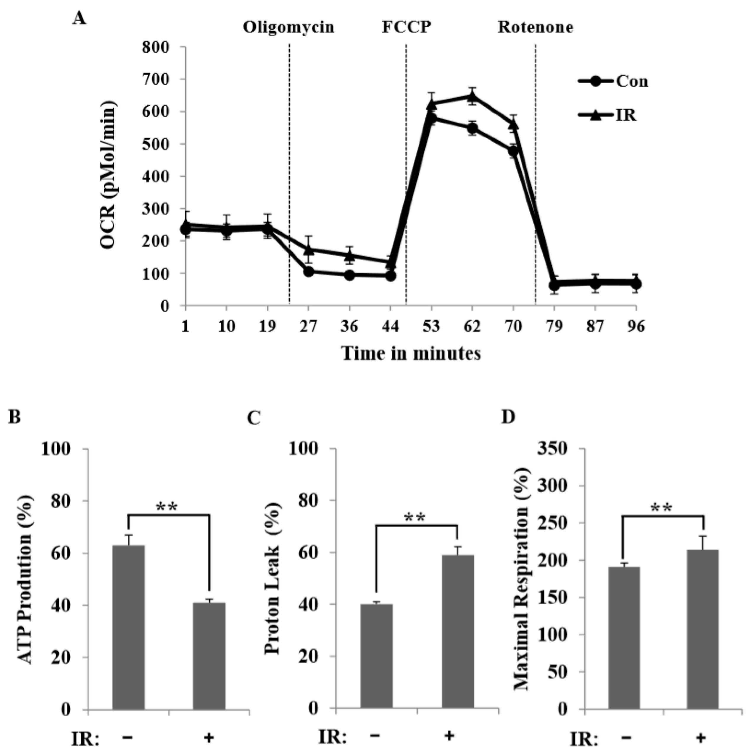 Cells 08 00950 g004 Cells 08 00950 g004