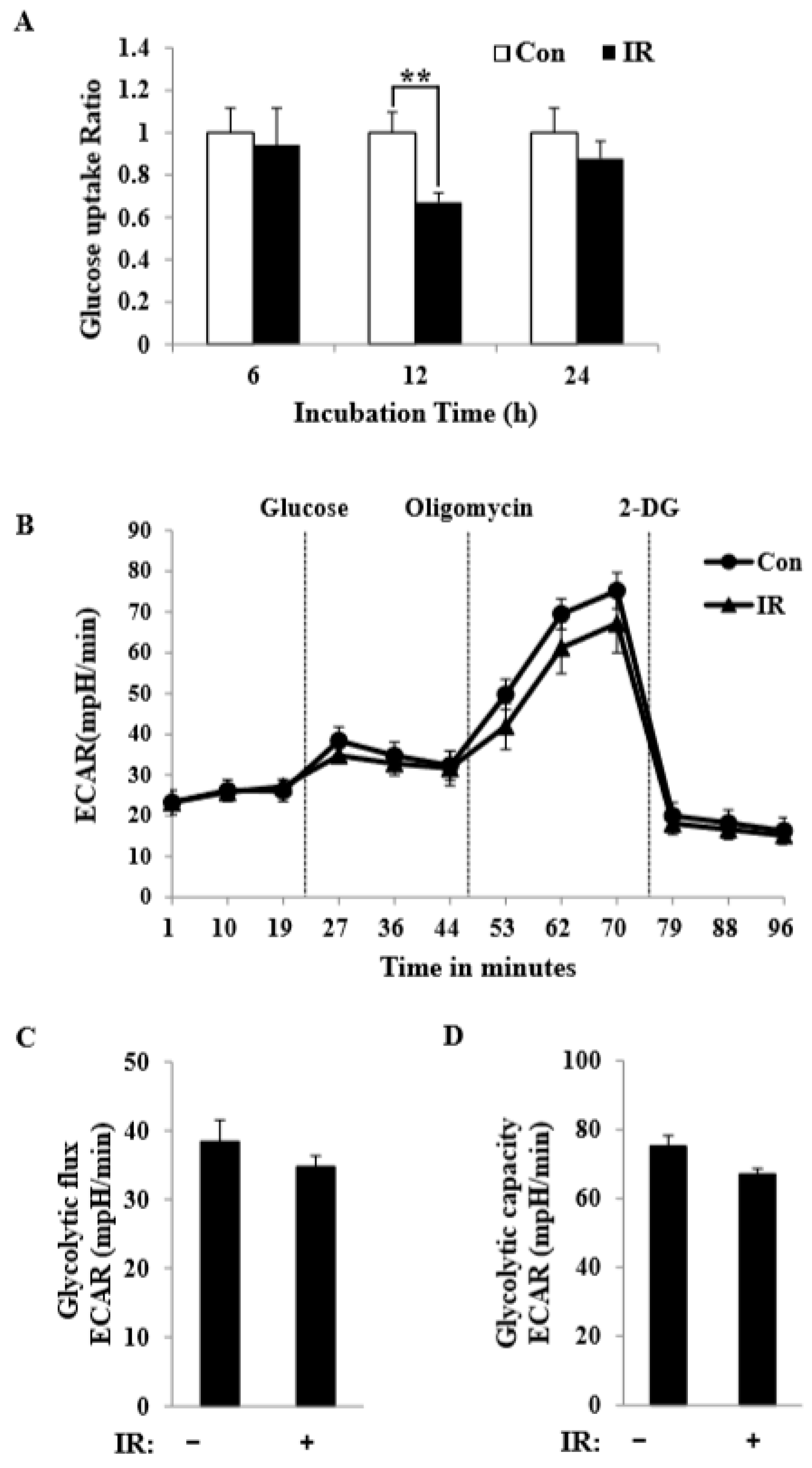 Cells 08 00950 g005 Cells 08 00950 g005