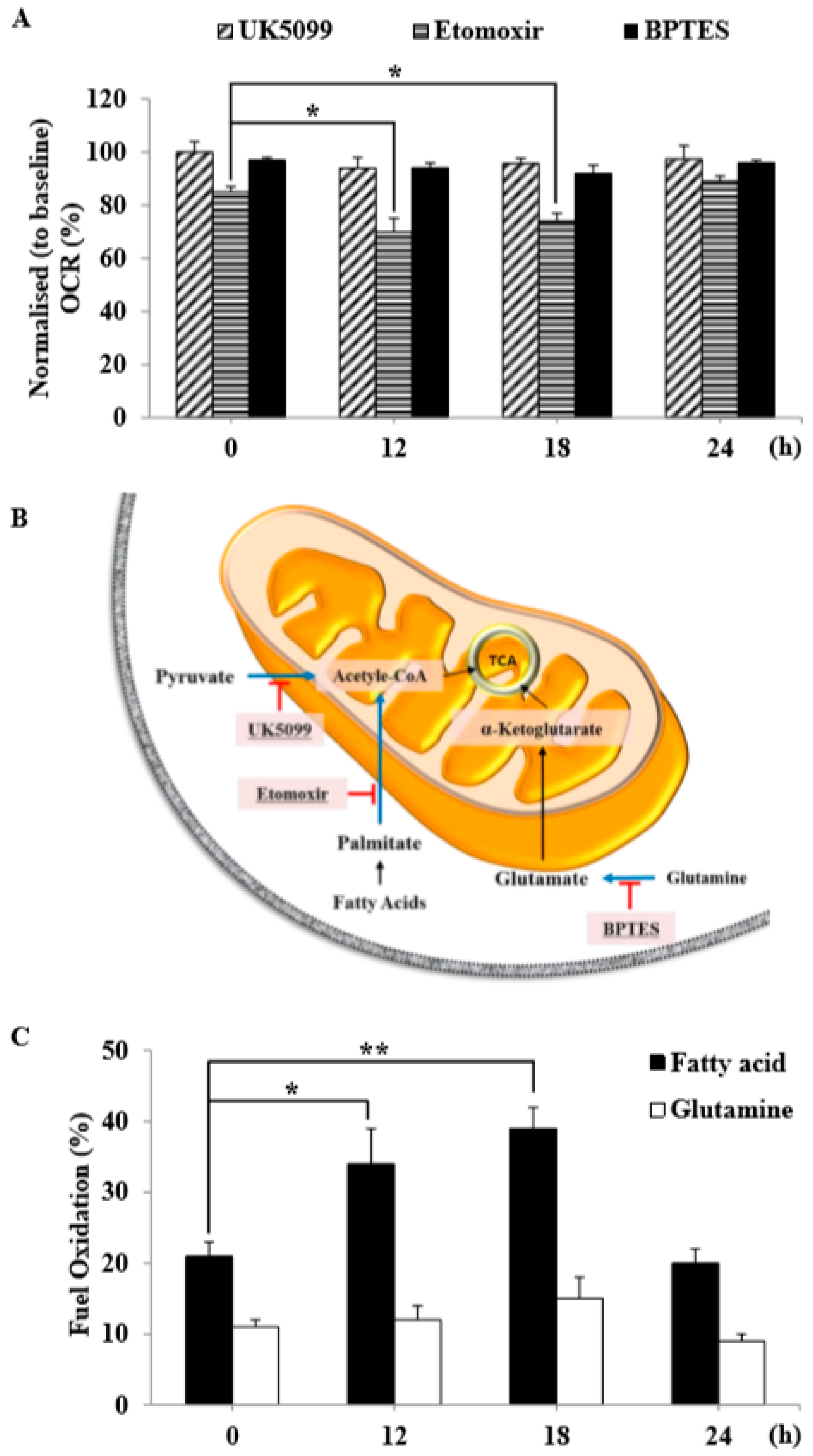 Cells 08 00950 g006 Cells 08 00950 g006