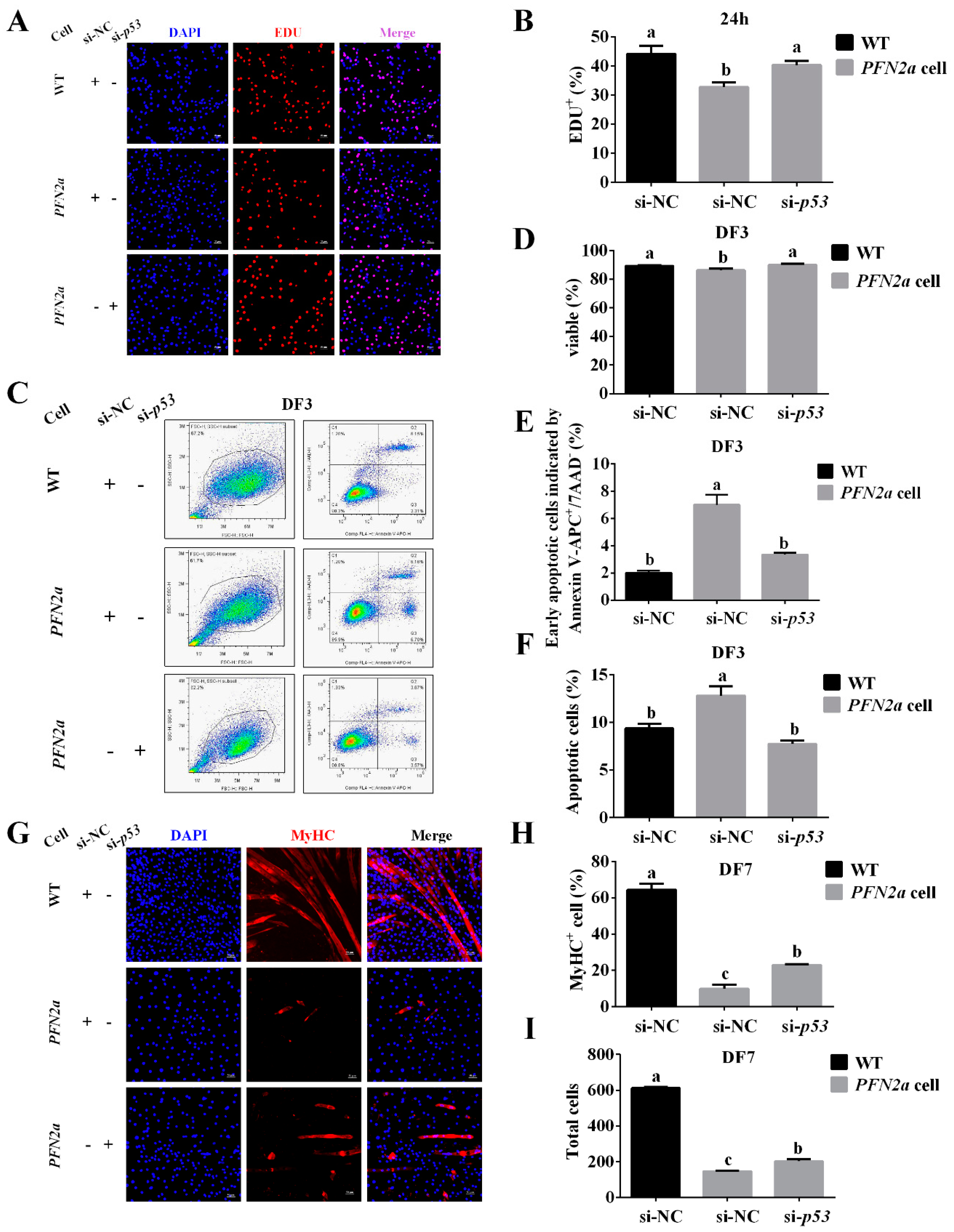 Cells 08 00959 g006 Cells 08 00959 g006