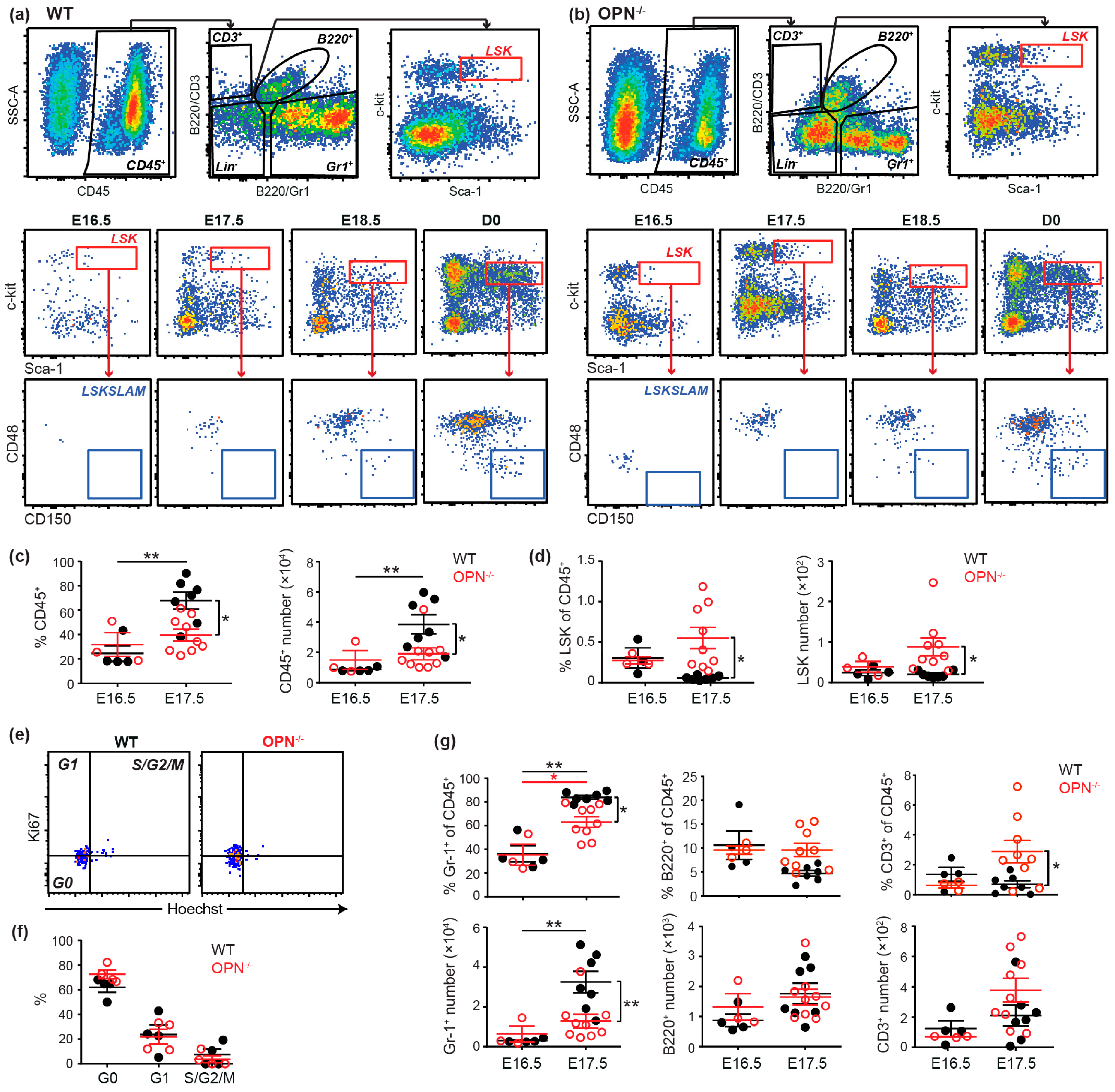 Cells 08 00985 g002 Cells 08 00985 g002