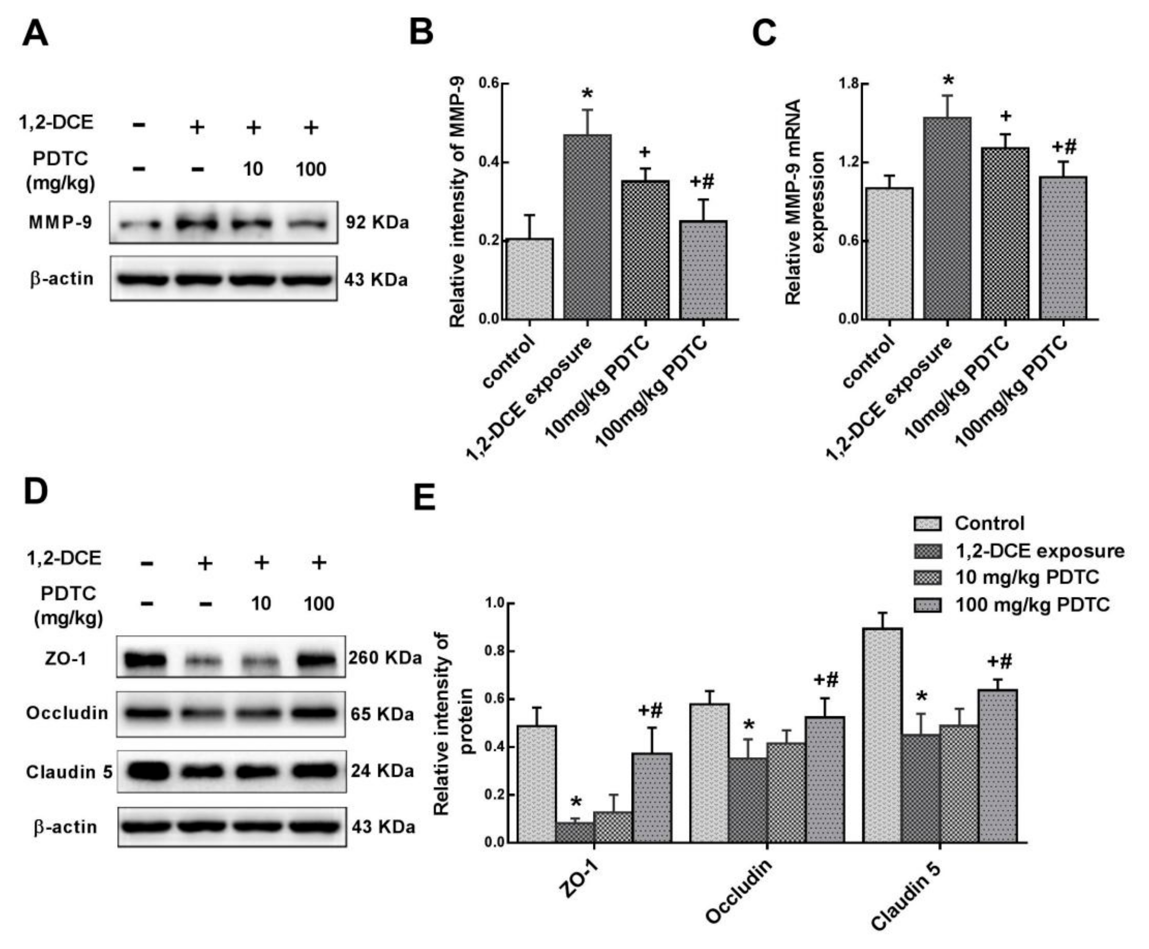 Cells 08 00987 g002 Cells 08 00987 g002