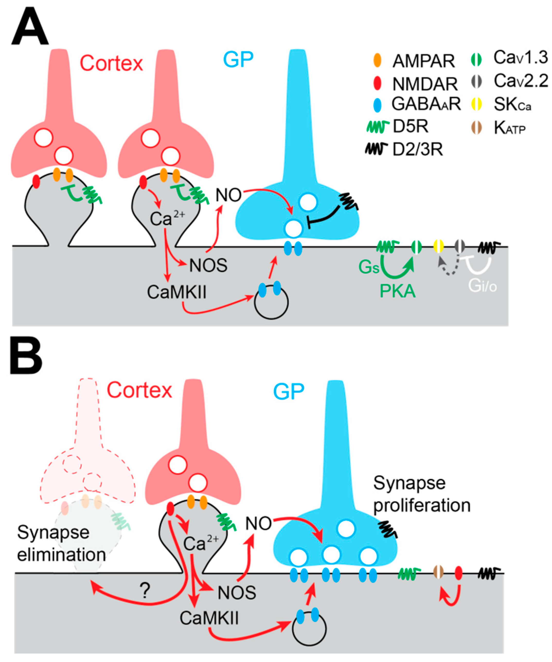 Cells 08 01005 g003 Cells 08 01005 g003