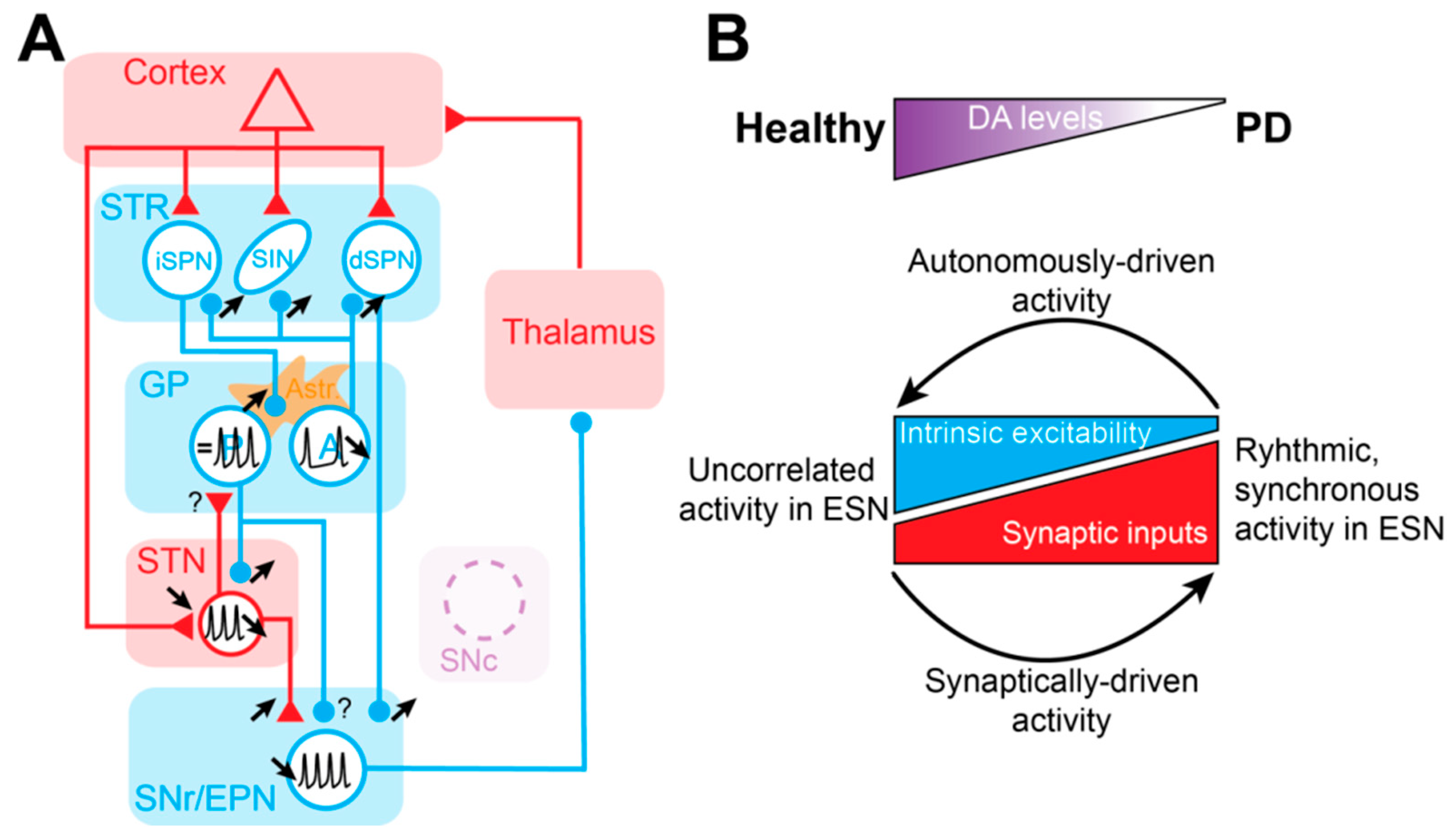 Cells 08 01005 g004 Cells 08 01005 g004