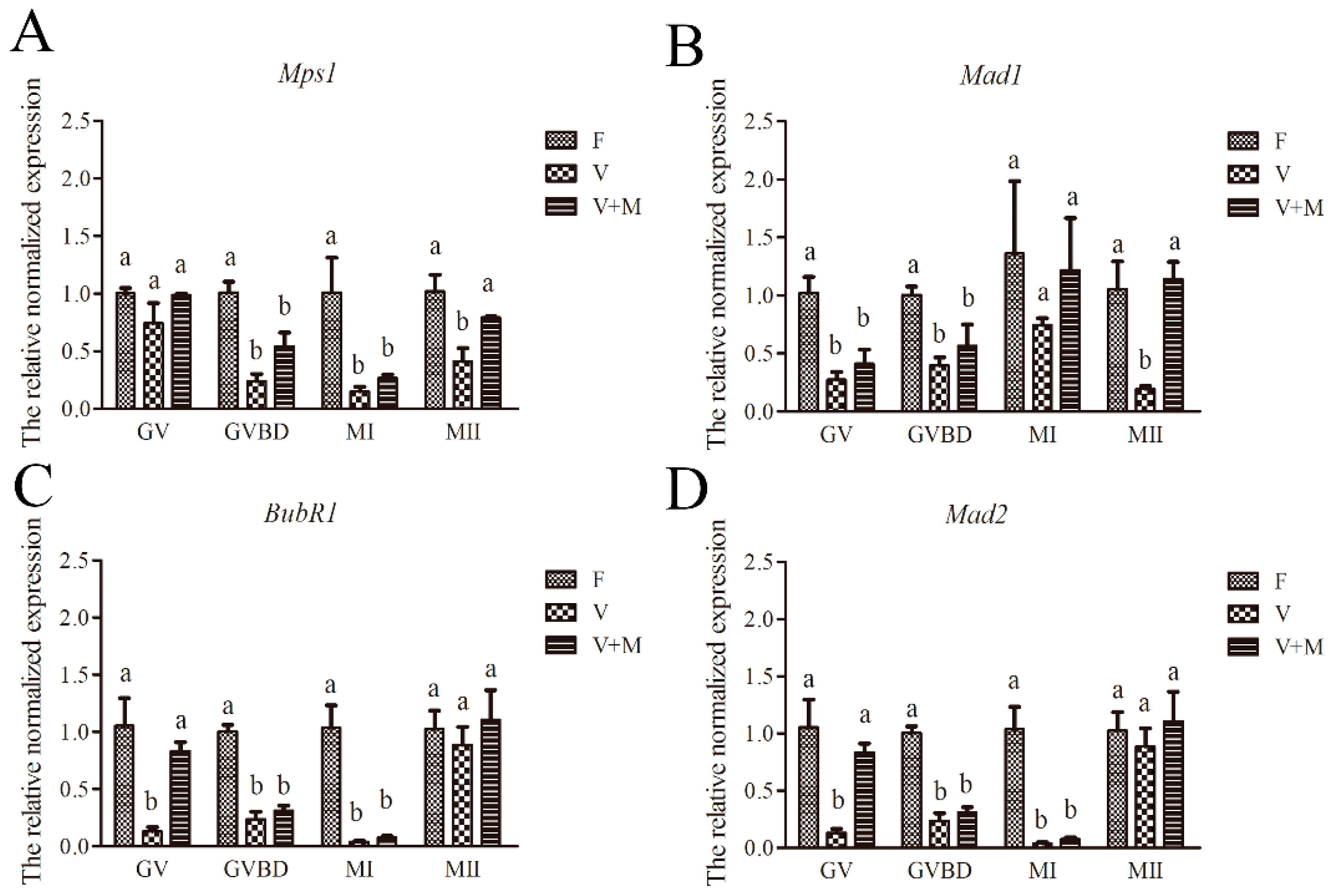 Cells 08 01009 g006 Cells 08 01009 g006