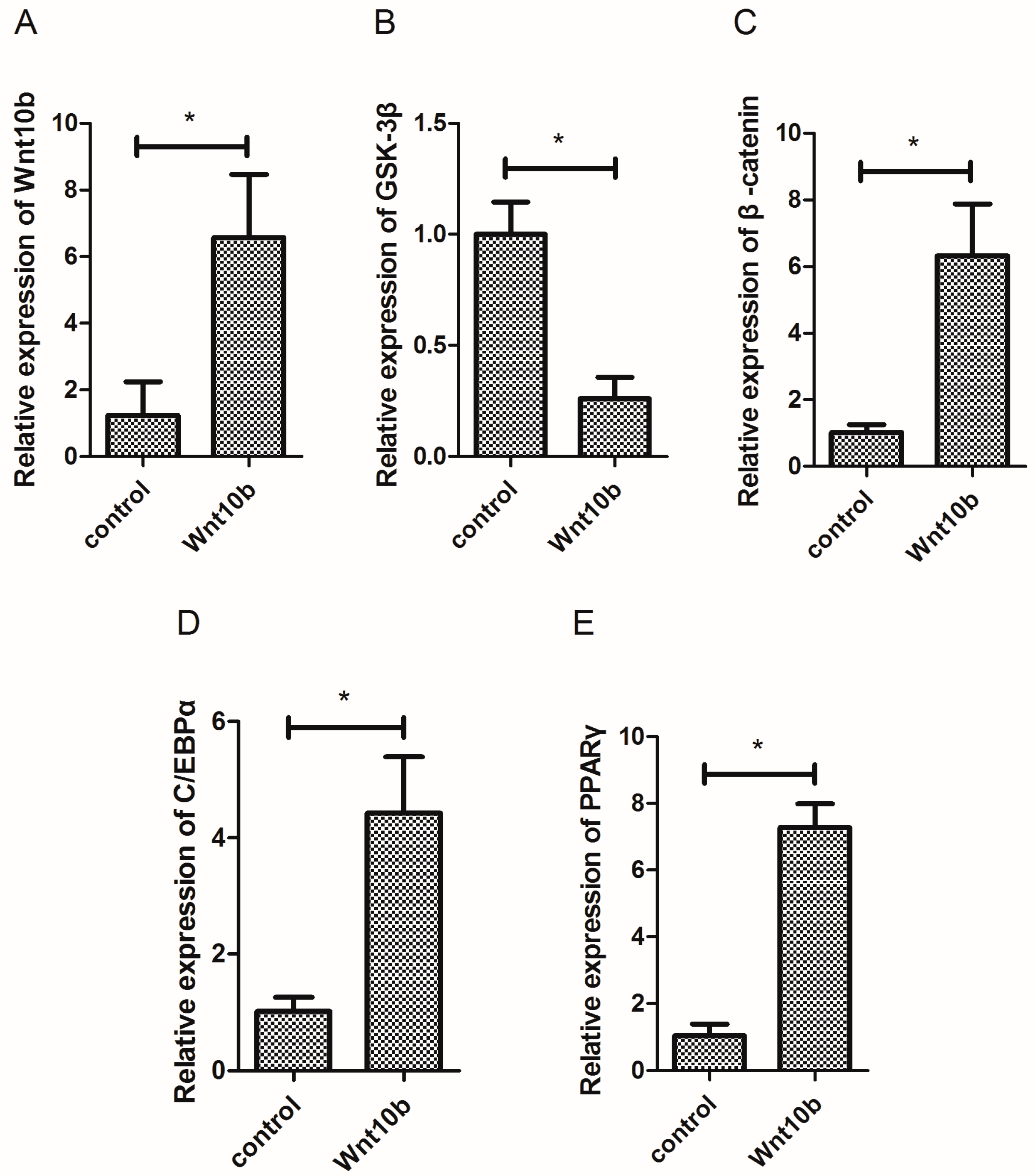 Cells 08 01011 g001 Cells 08 01011 g001