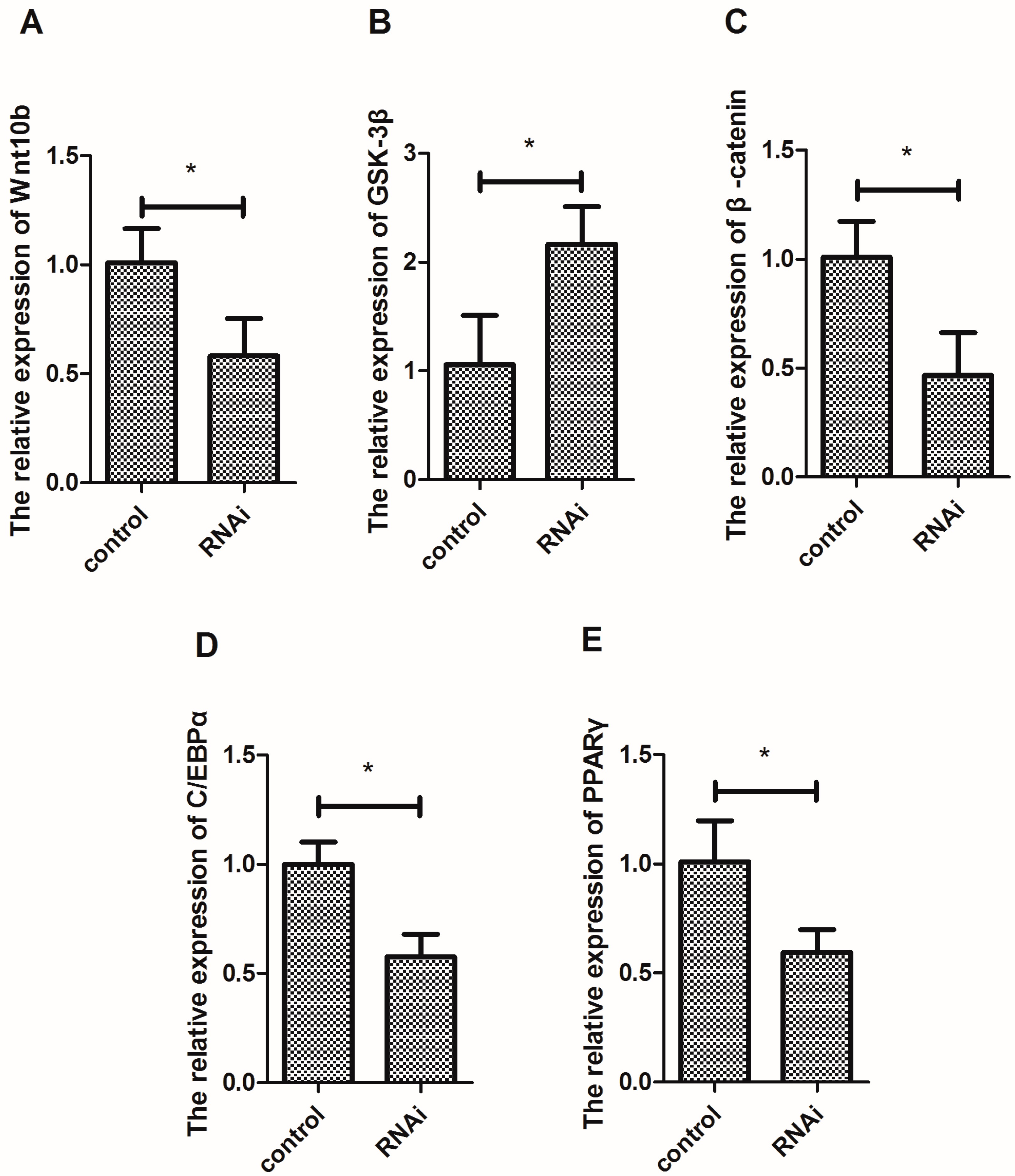 Cells 08 01011 g005 Cells 08 01011 g005