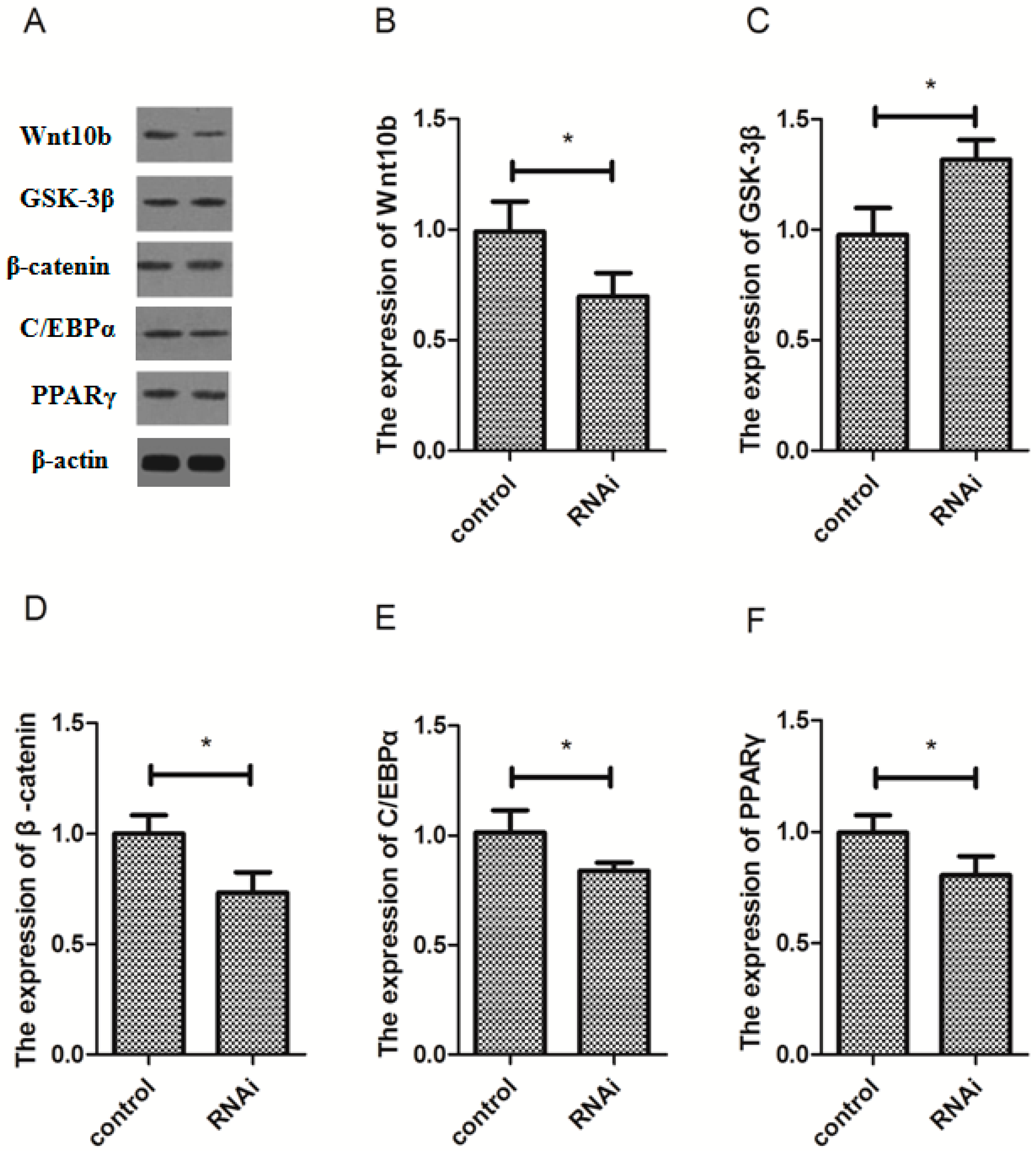 Cells 08 01011 g006 Cells 08 01011 g006