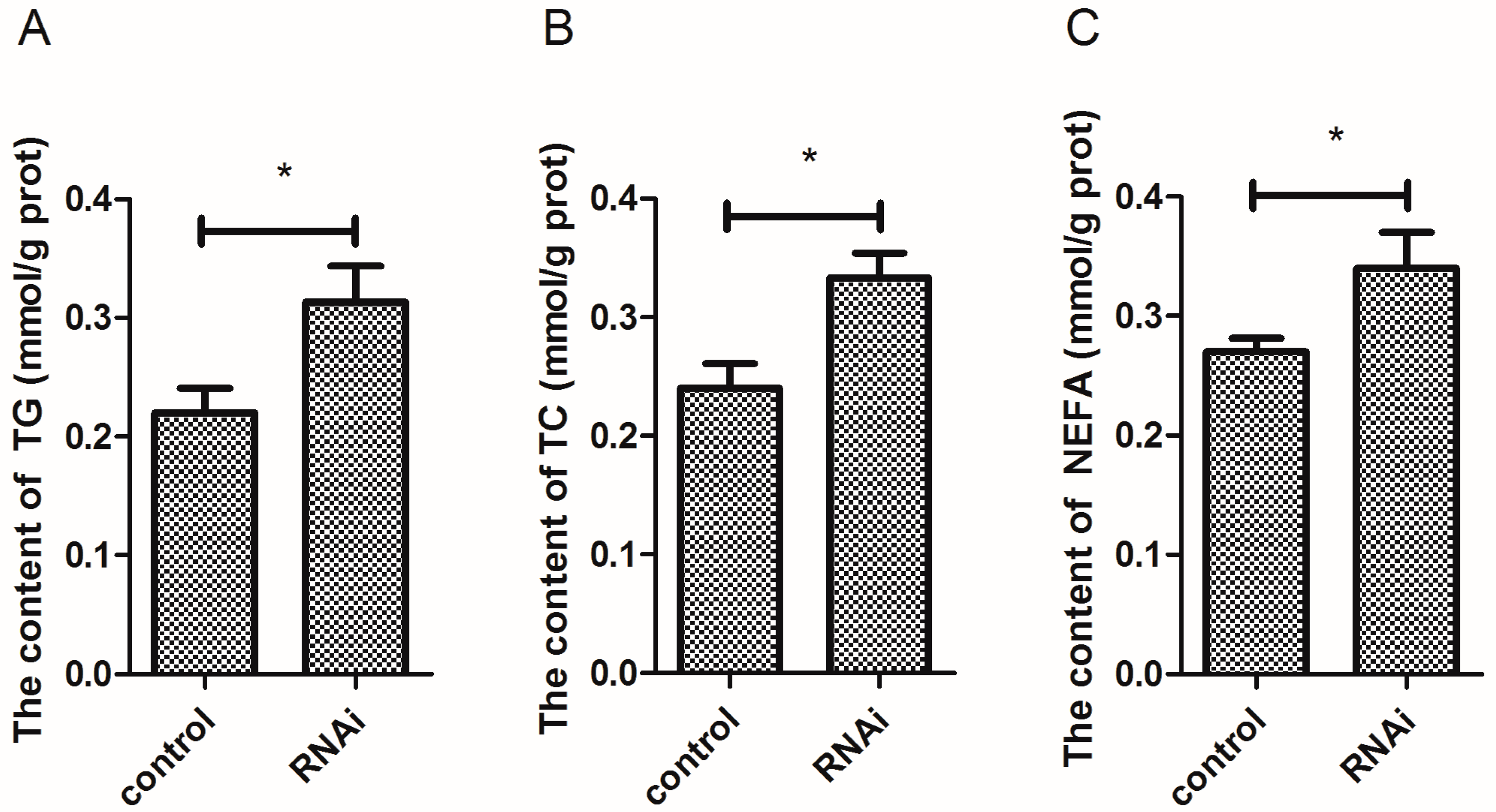 Cells 08 01011 g008 Cells 08 01011 g008