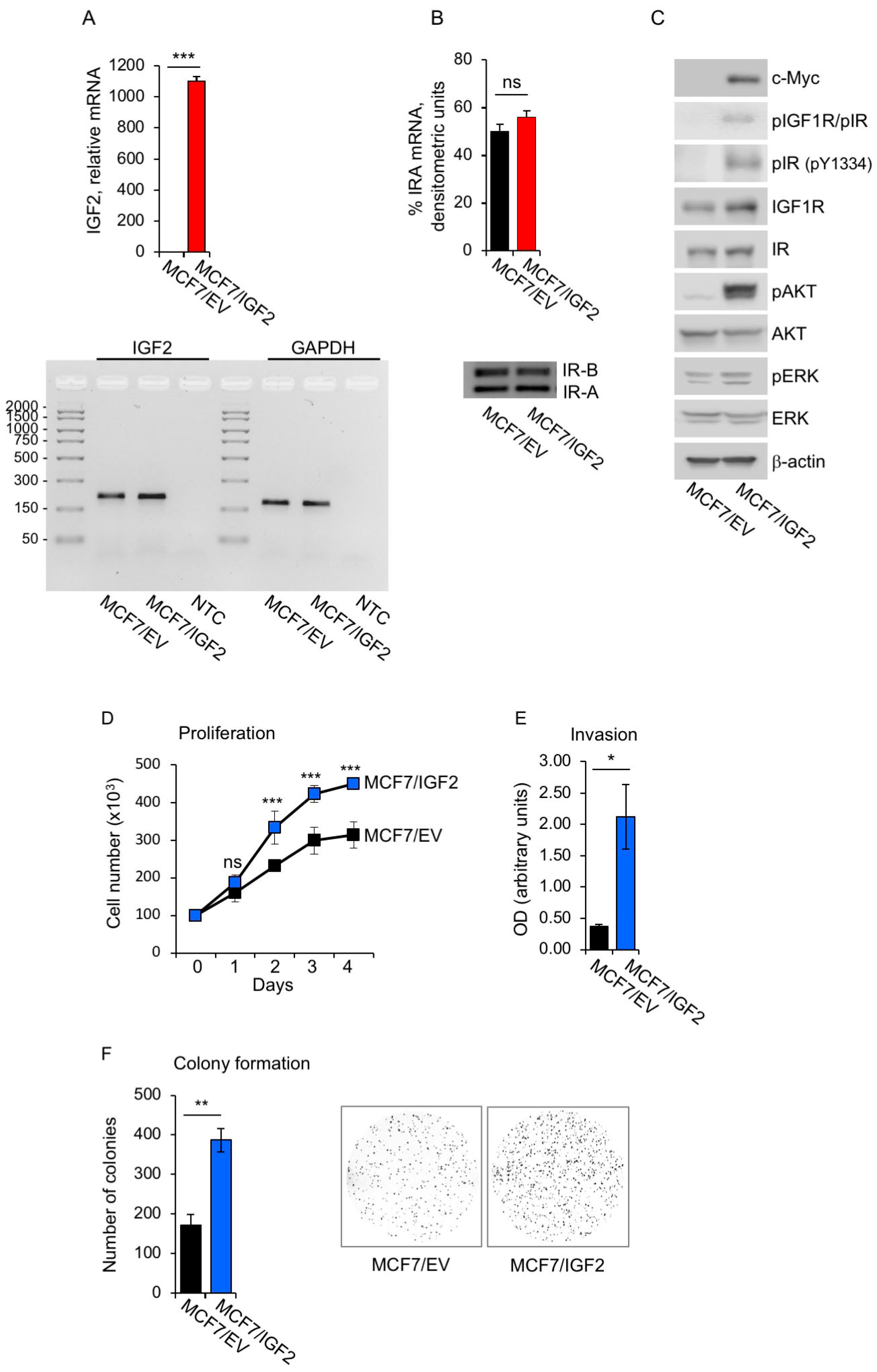 Cells 08 01017 g001