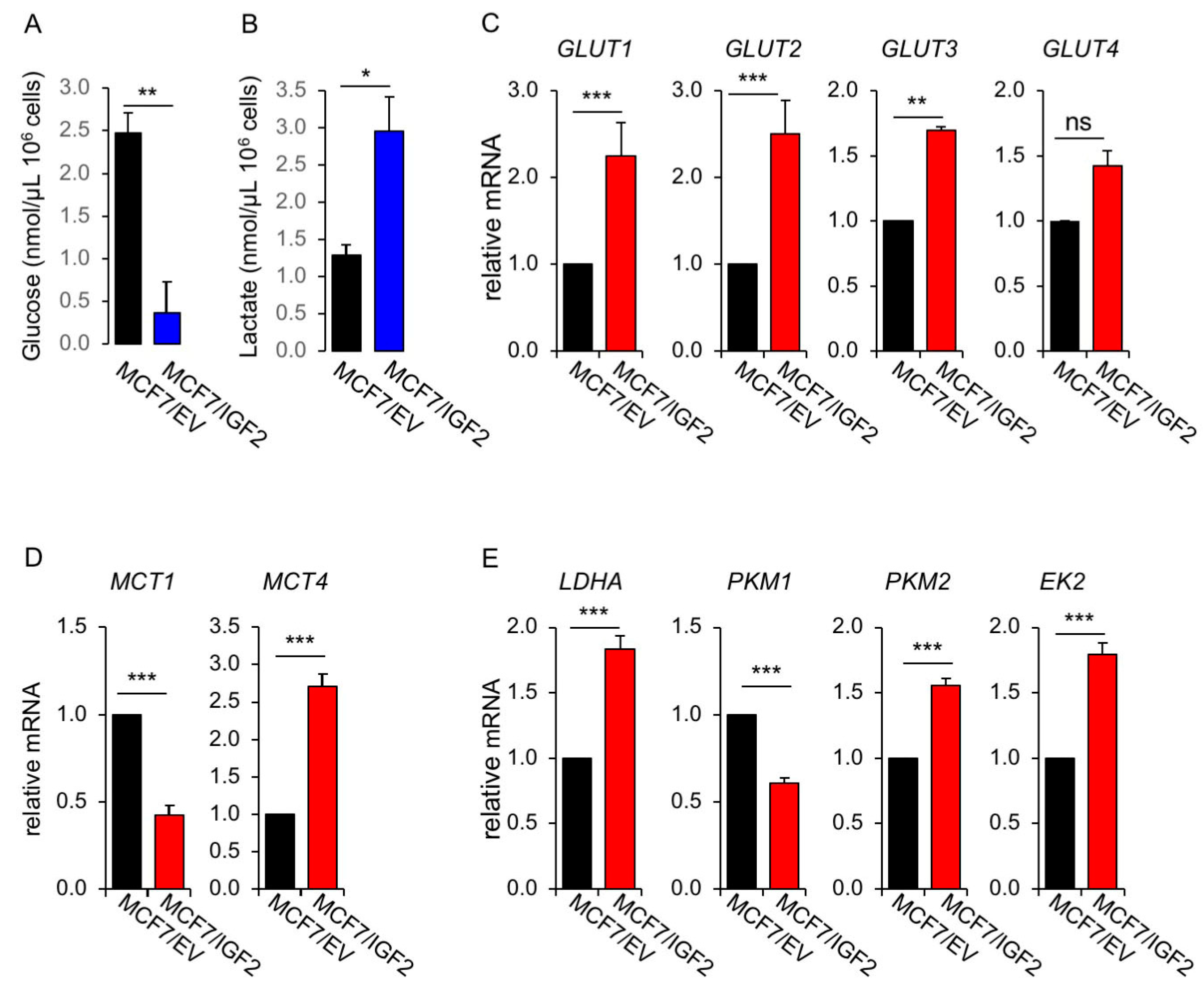 Cells 08 01017 g002a