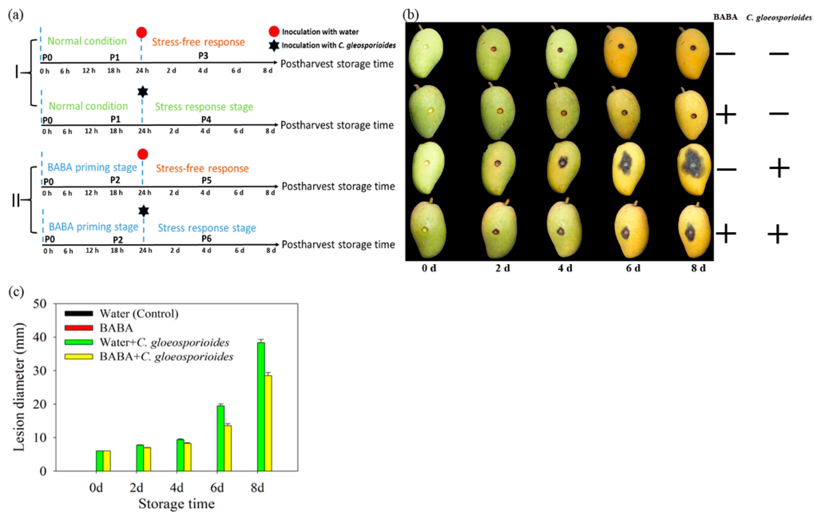 Cells 08 01029 g001