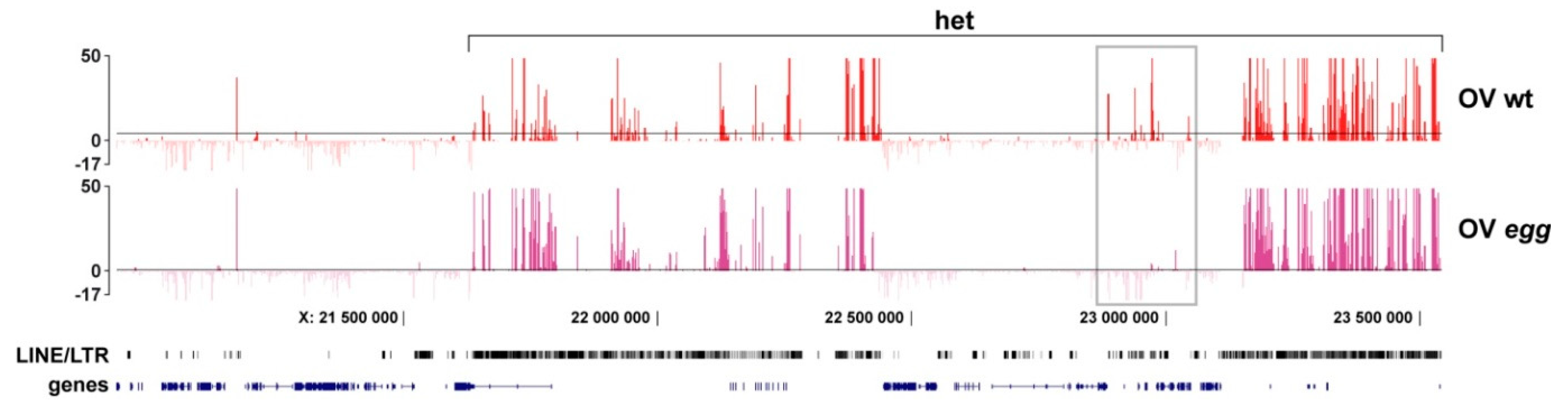 Cells 08 01030 g003