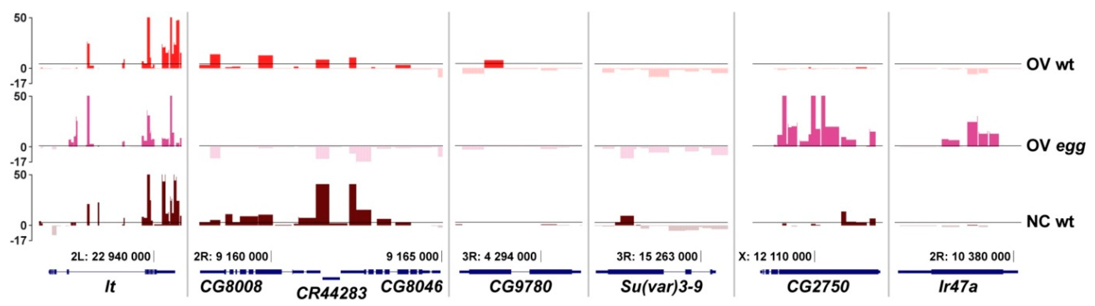 Cells 08 01030 g005
