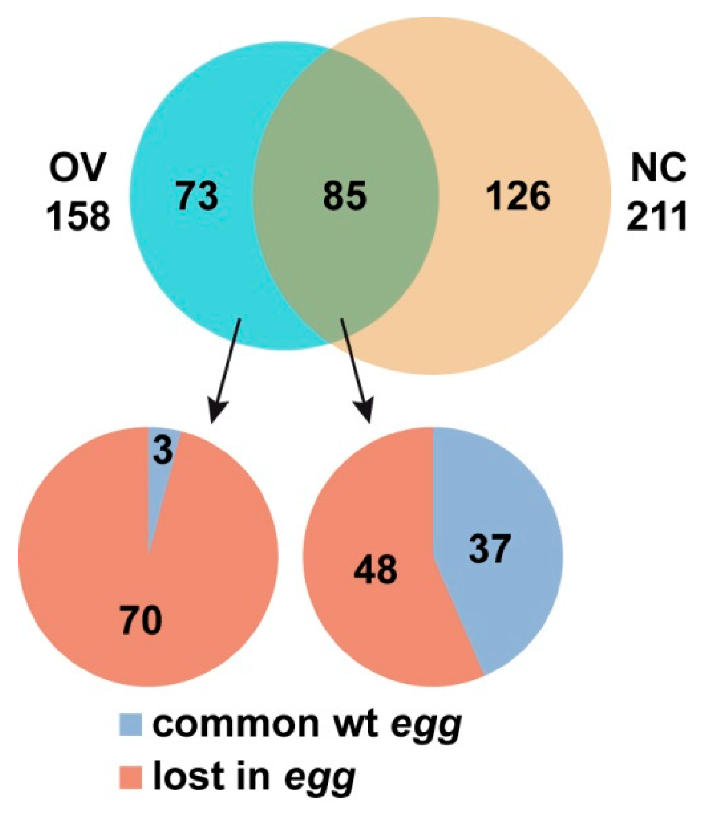 Cells 08 01030 g006