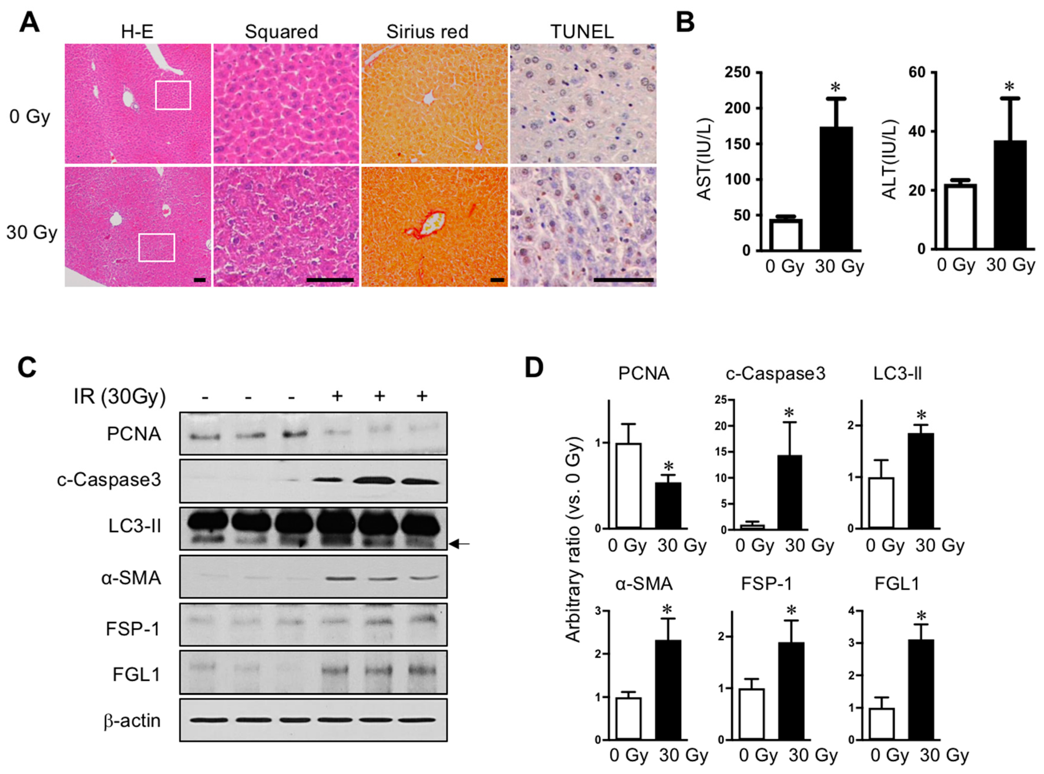 Cells 08 01042 g001